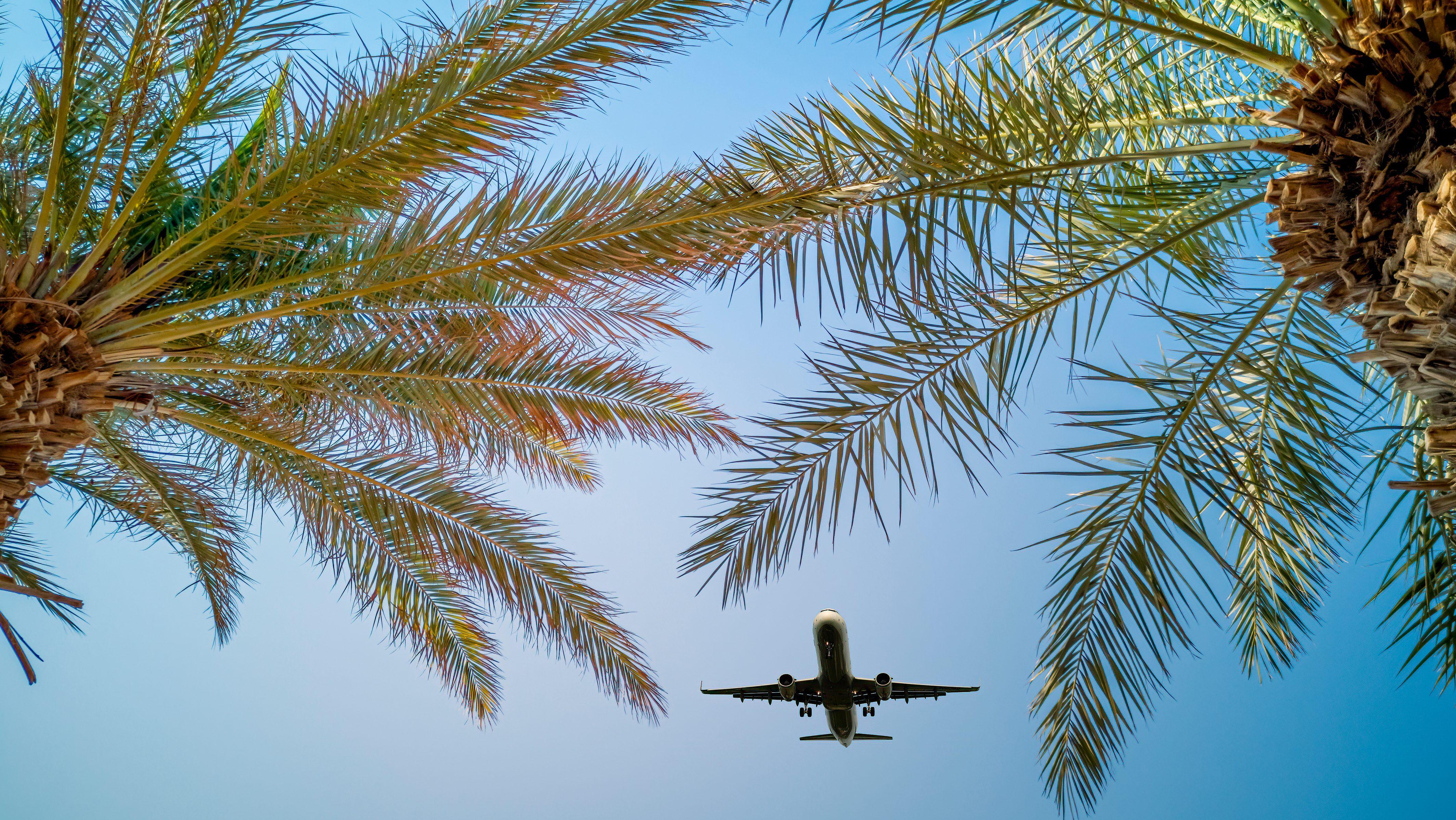 Photo: Shutterstock