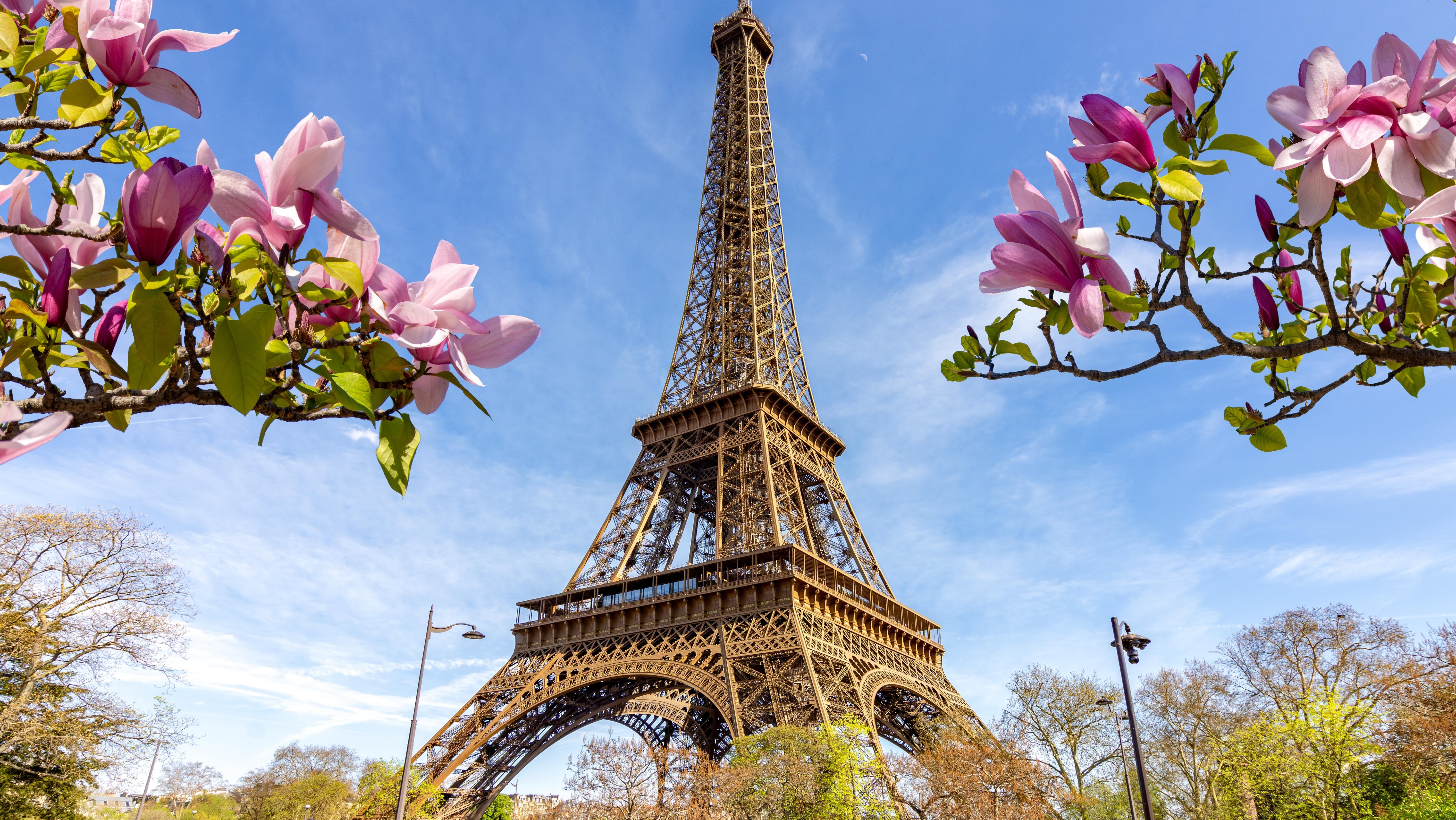 Eiffel Tower. Photo: Shutterstock