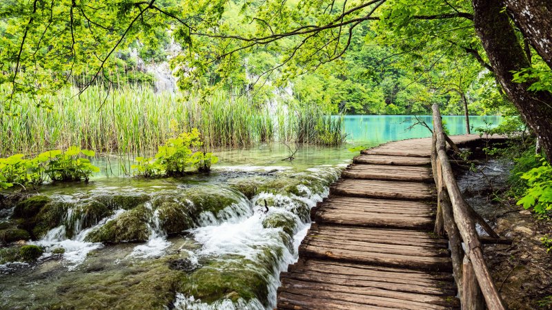 Plitvice Lakes National Park. Photo: TUI Group