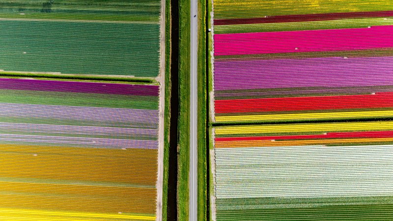 Netherlands. Photo Shutterstock