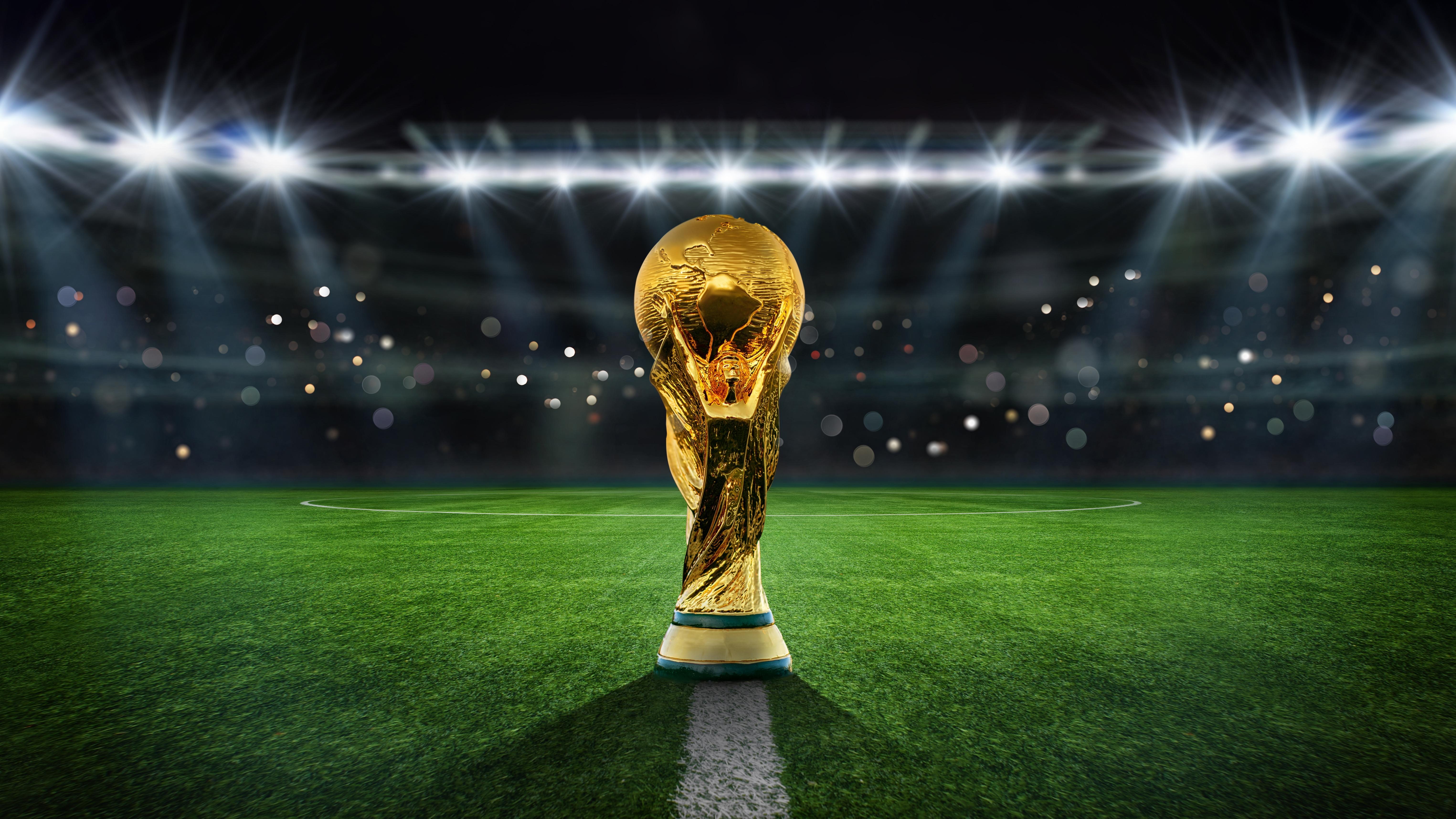 FIFA World Cup. Photo: Igor Link / Shutterstock
