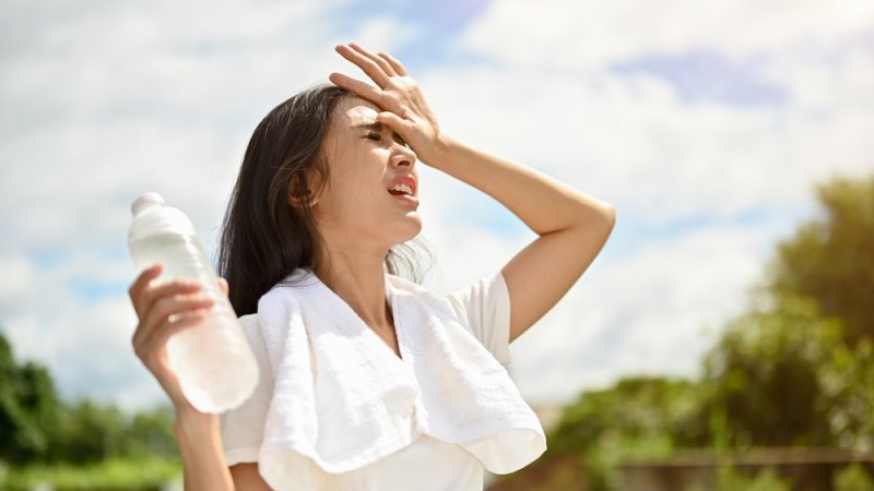 צילום: Shutterstock צילום: Shutterstock