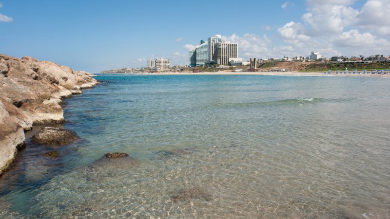 צילום: Shutterstock צילום: Shutterstock