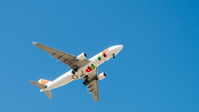 Portugal TAP Air. Photo: Radu Bercan / Shutterstock