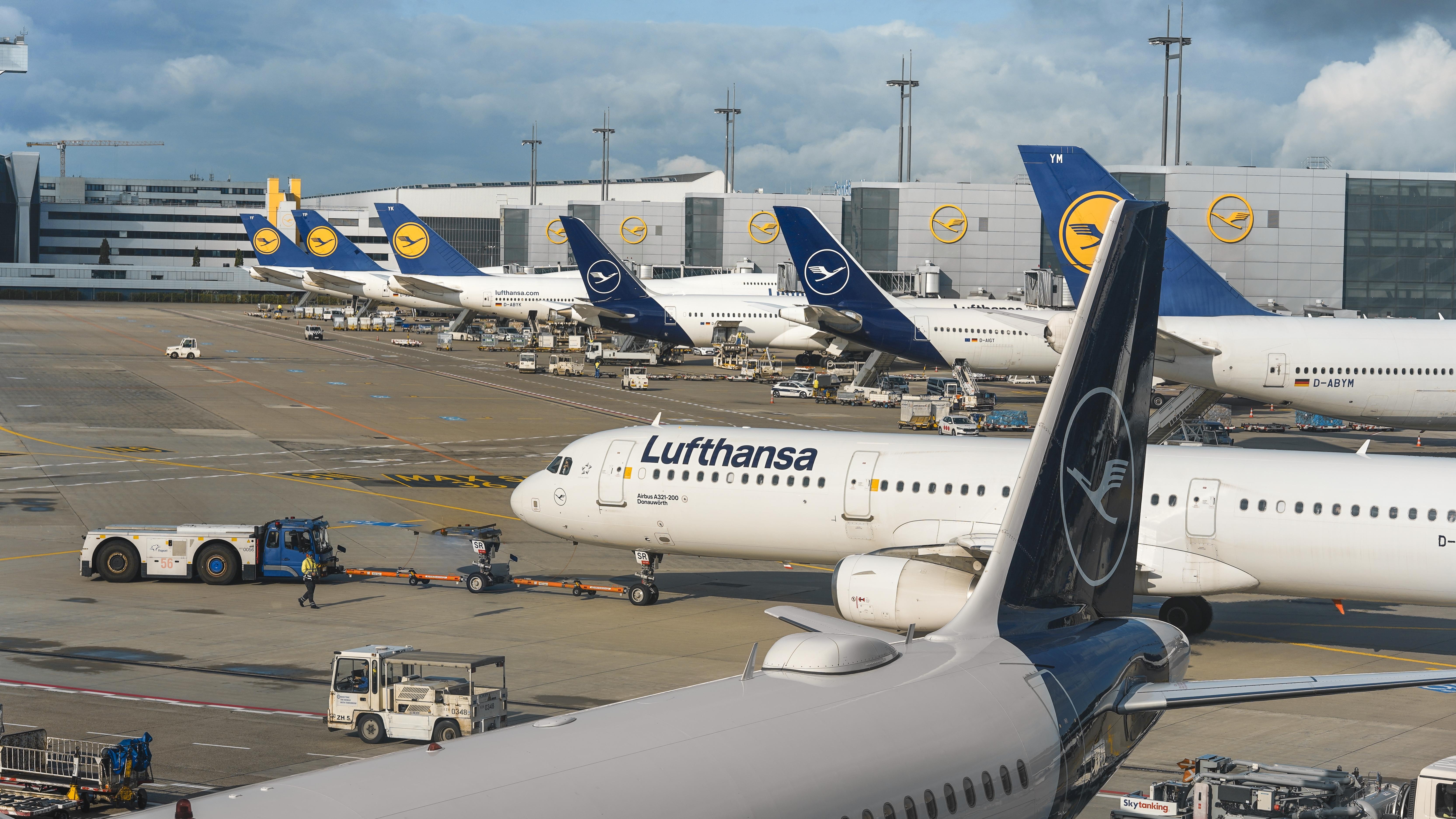 Lufthansa aircraft. Photo: WildSnap / Shutterstock