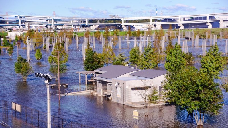 Archive photo: SHUTTERSTOCK