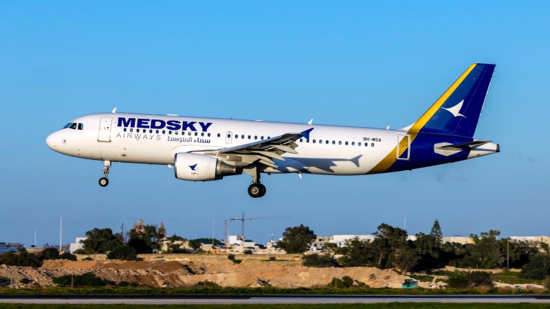 Medsky Airways. Photo: InsectWorld / Shutterstock