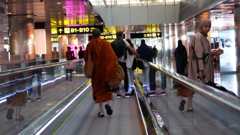 Photo: HomeAndSea / Shutterstock