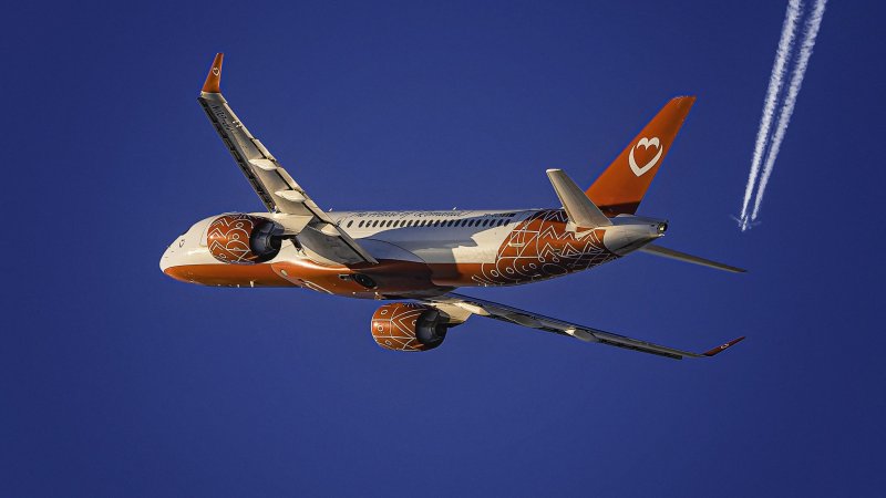 AnimaWings. Photo: Cristi Mitu / Shutterstock