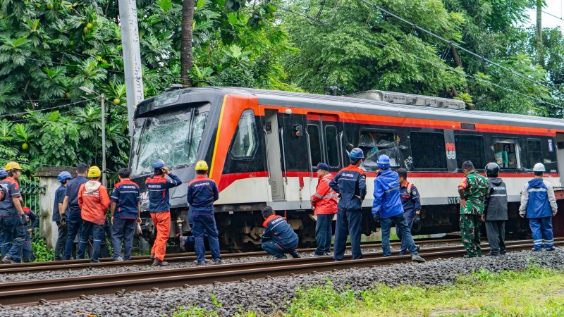 Photo: Oryzapratama / Shutterstock