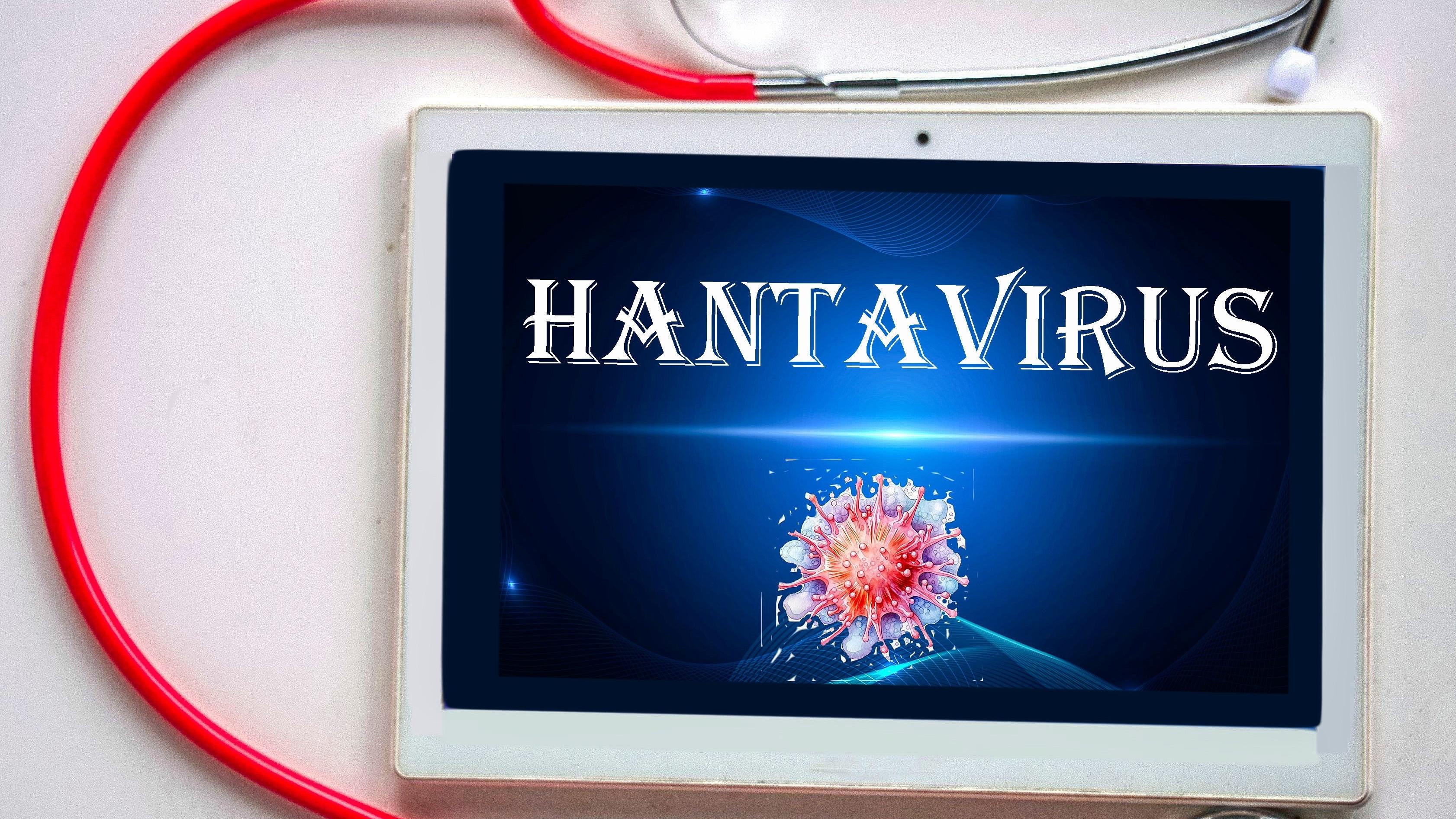 New hantavius death confirmed by airline. Photo: Shutterstock