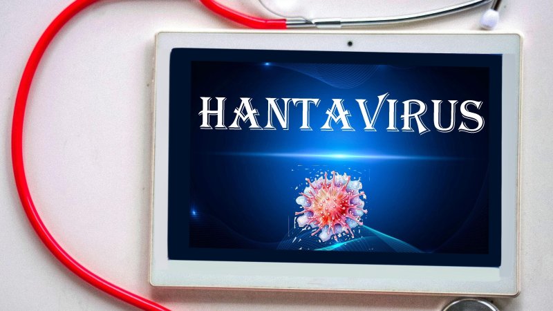New hantavius death confirmed by airline. Photo: Shutterstock