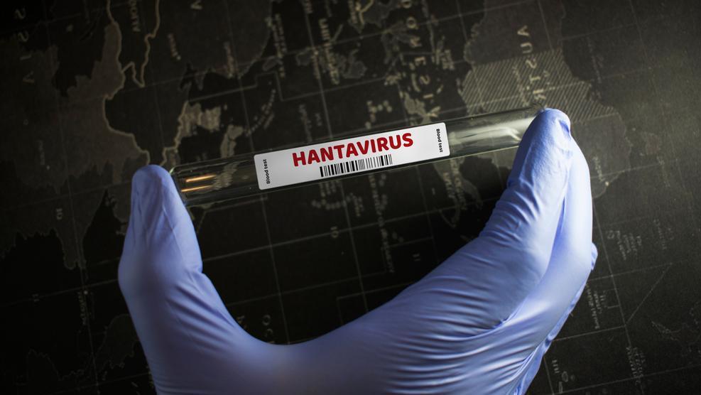 Hantavirus. Photo: Shutterstock