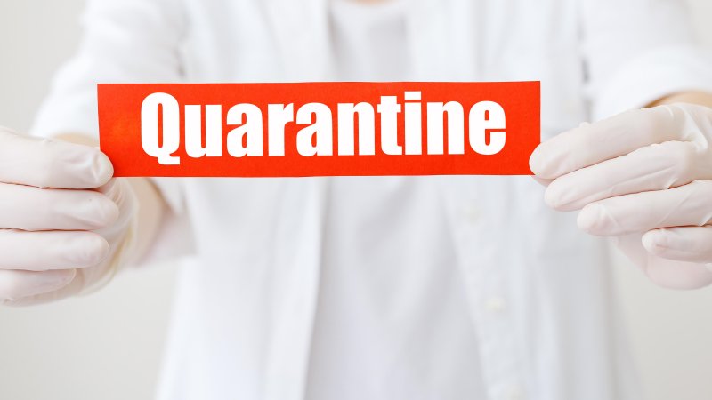 Hantavirus outbreak. Photo: Shutterstock