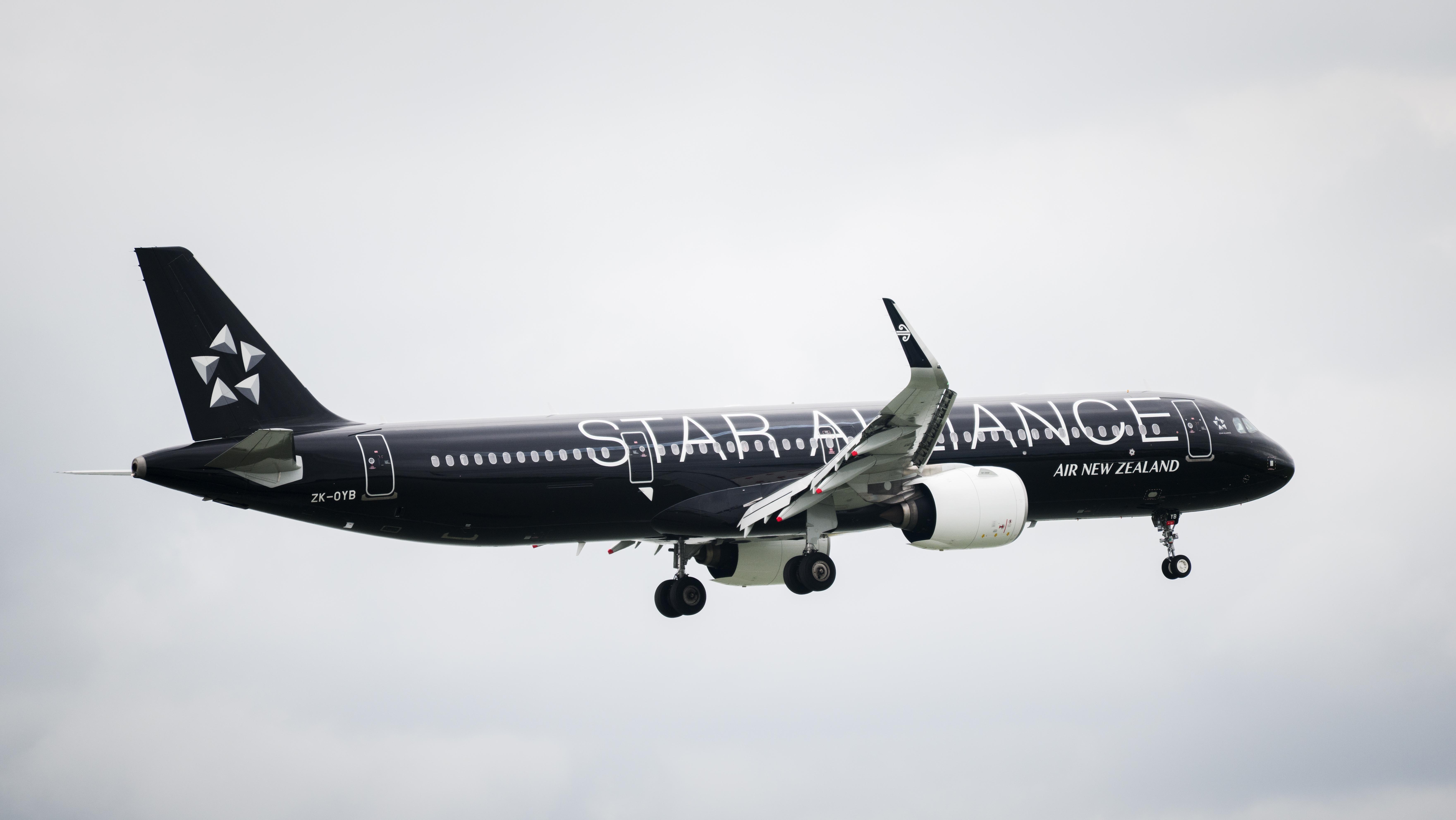 Star Alliance aircraft. Photo: Janice Chen / Shutterstock.com