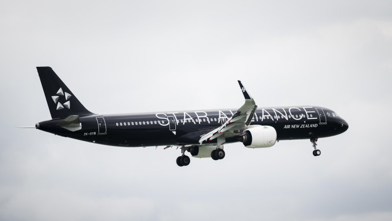 Star Alliance aircraft. Photo: Janice Chen / Shutterstock.com