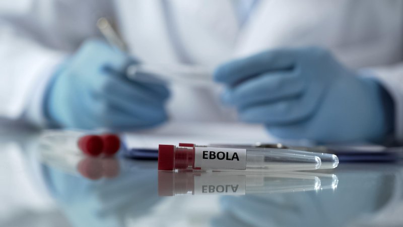 Ebola confirmed in Congo. Photo: Shutterstock