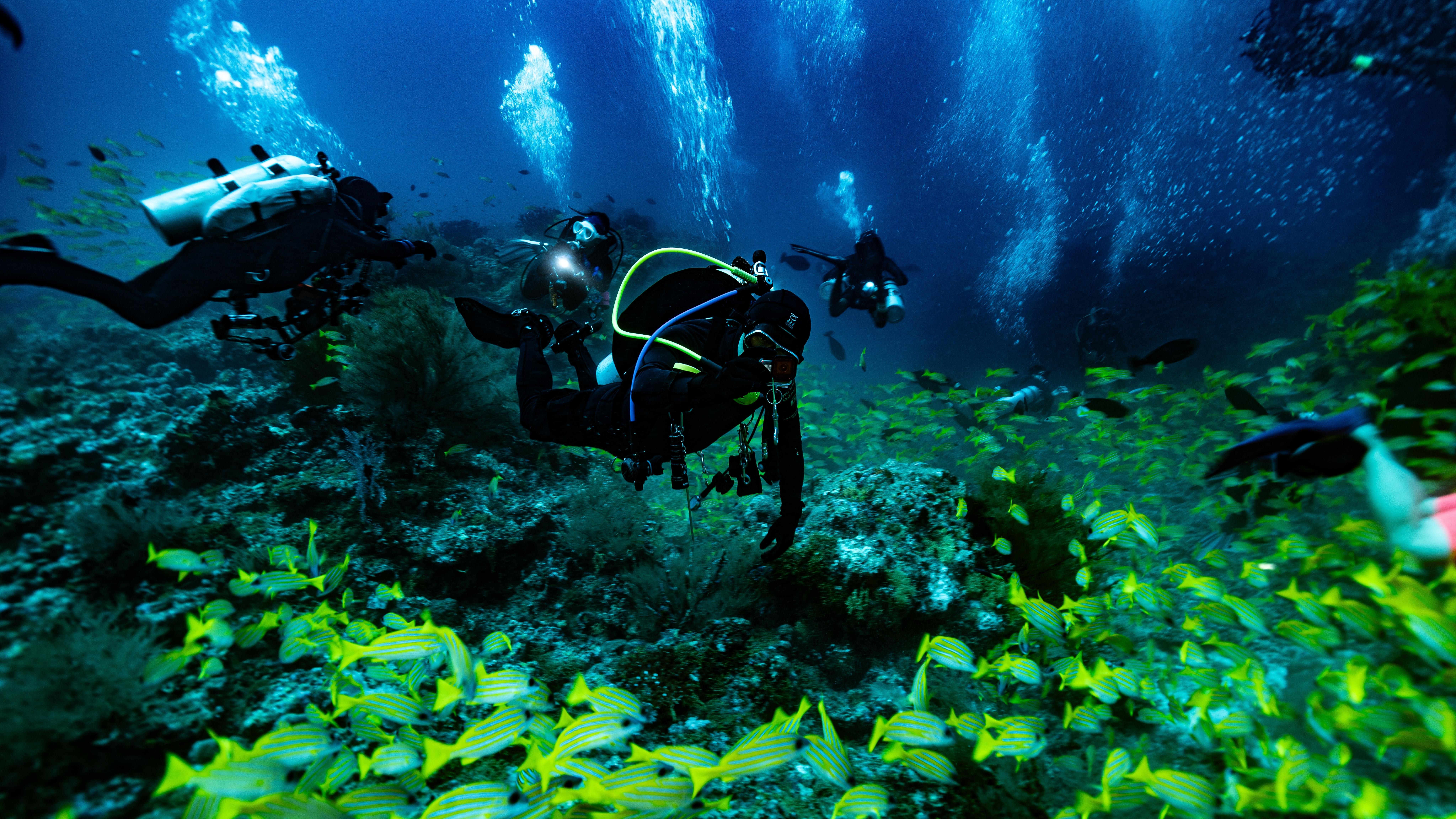 Photo: Shutterstock