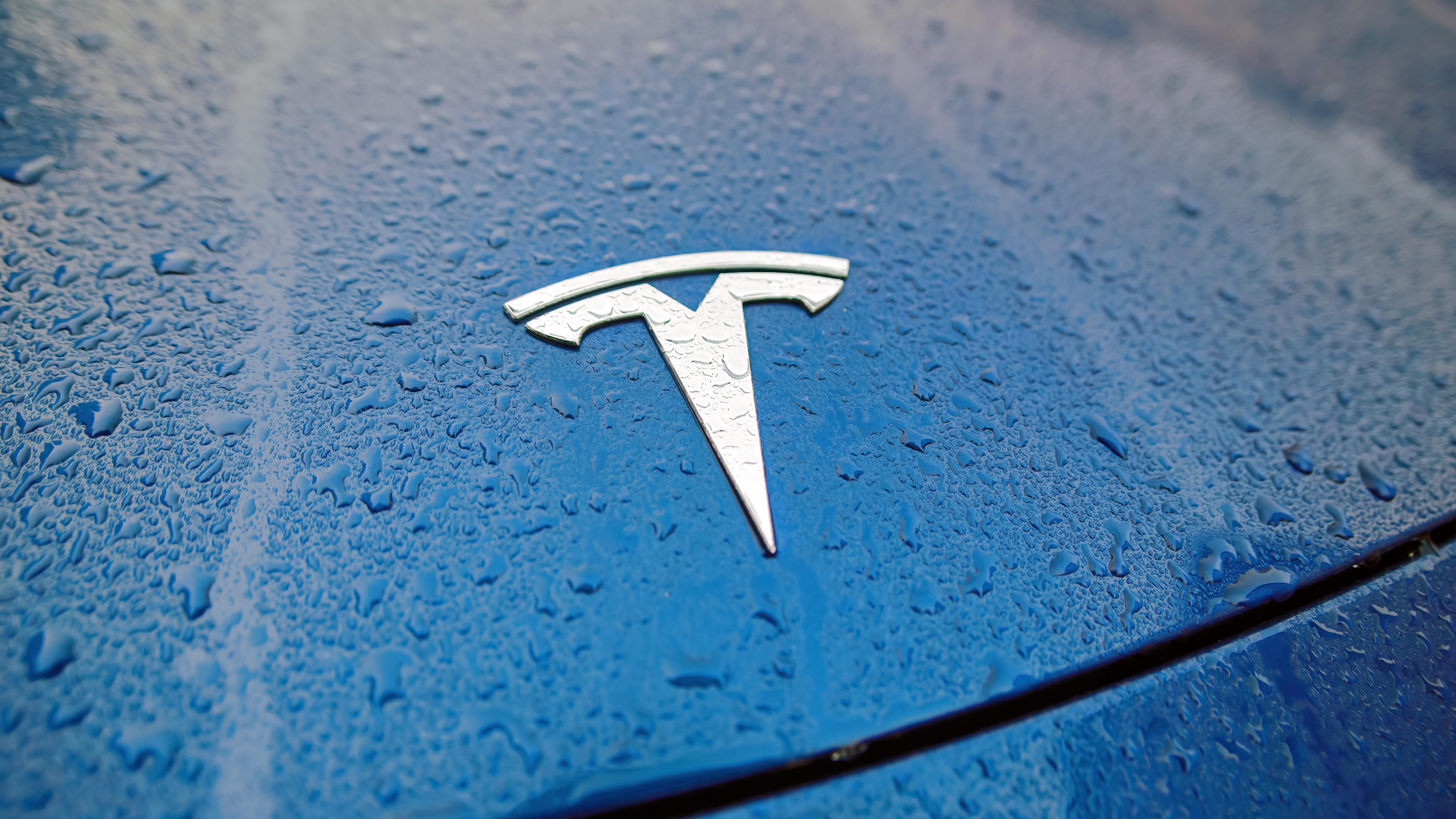 Tesla stranded in lake. Photo: Shutterstock