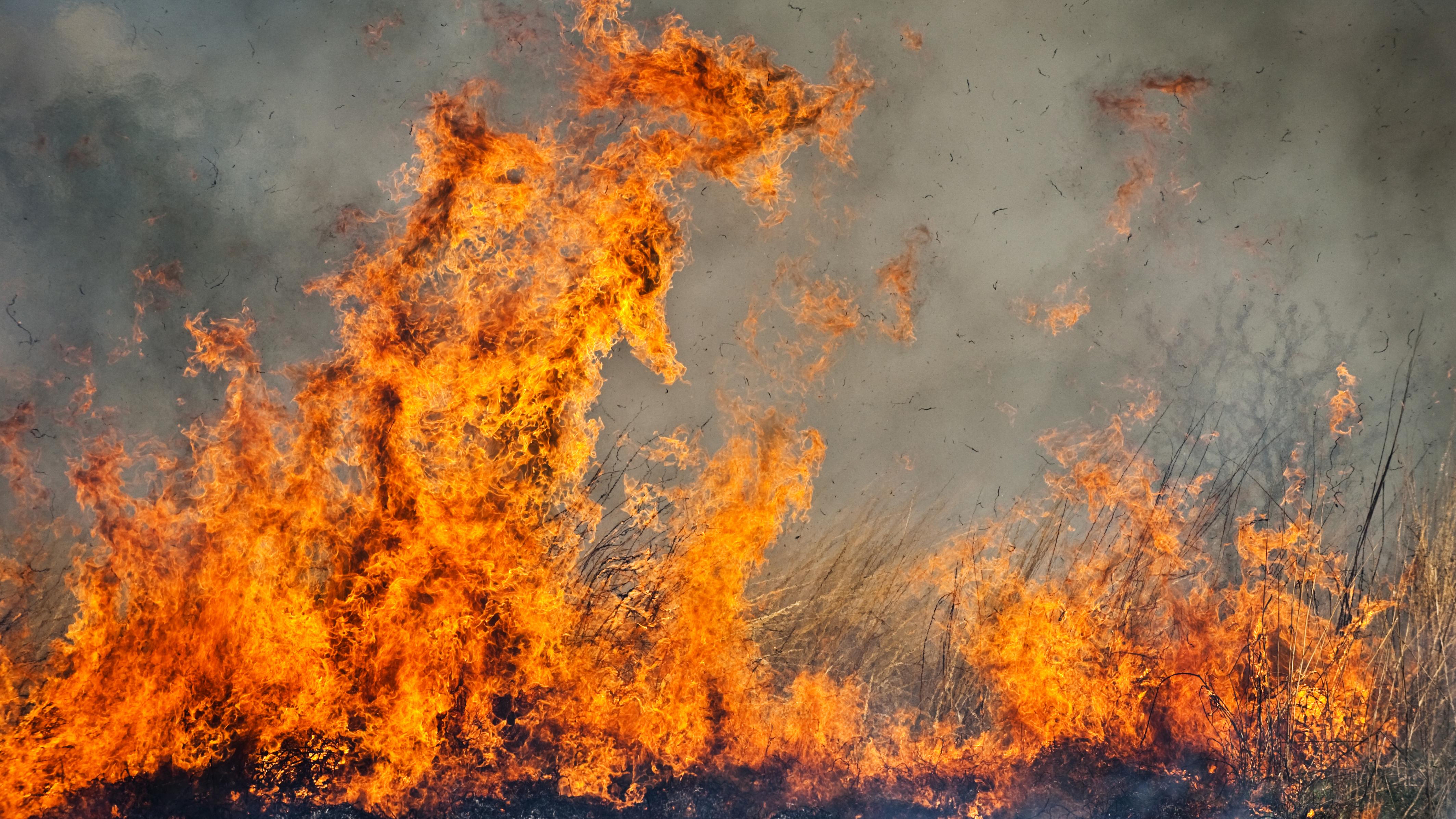 Brush fire disrupts NJ transit service into New York Penn Station. Photo: Shutterstock
