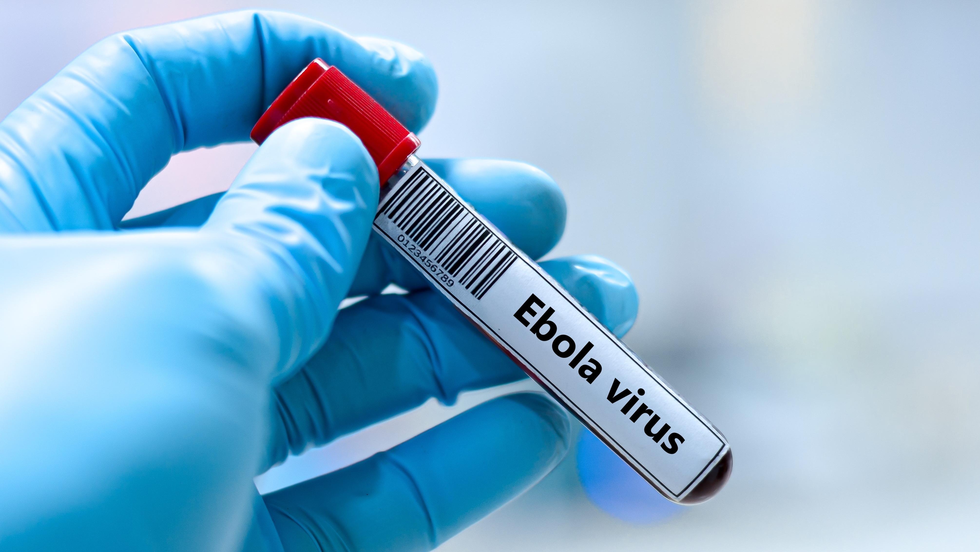 Ebola outbreak in Africa. Photo: Shutterstock