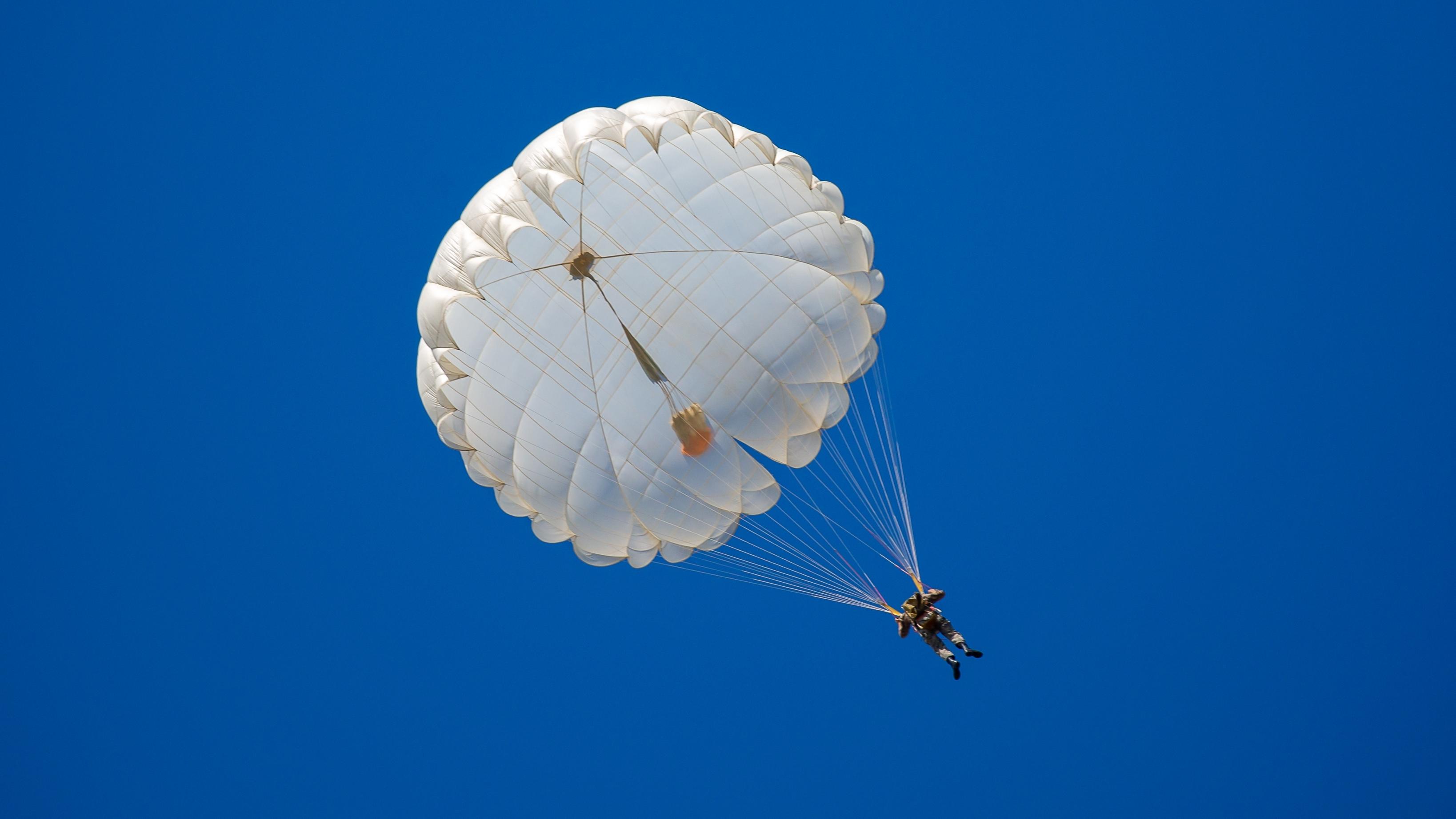 Photo: Shutterstock