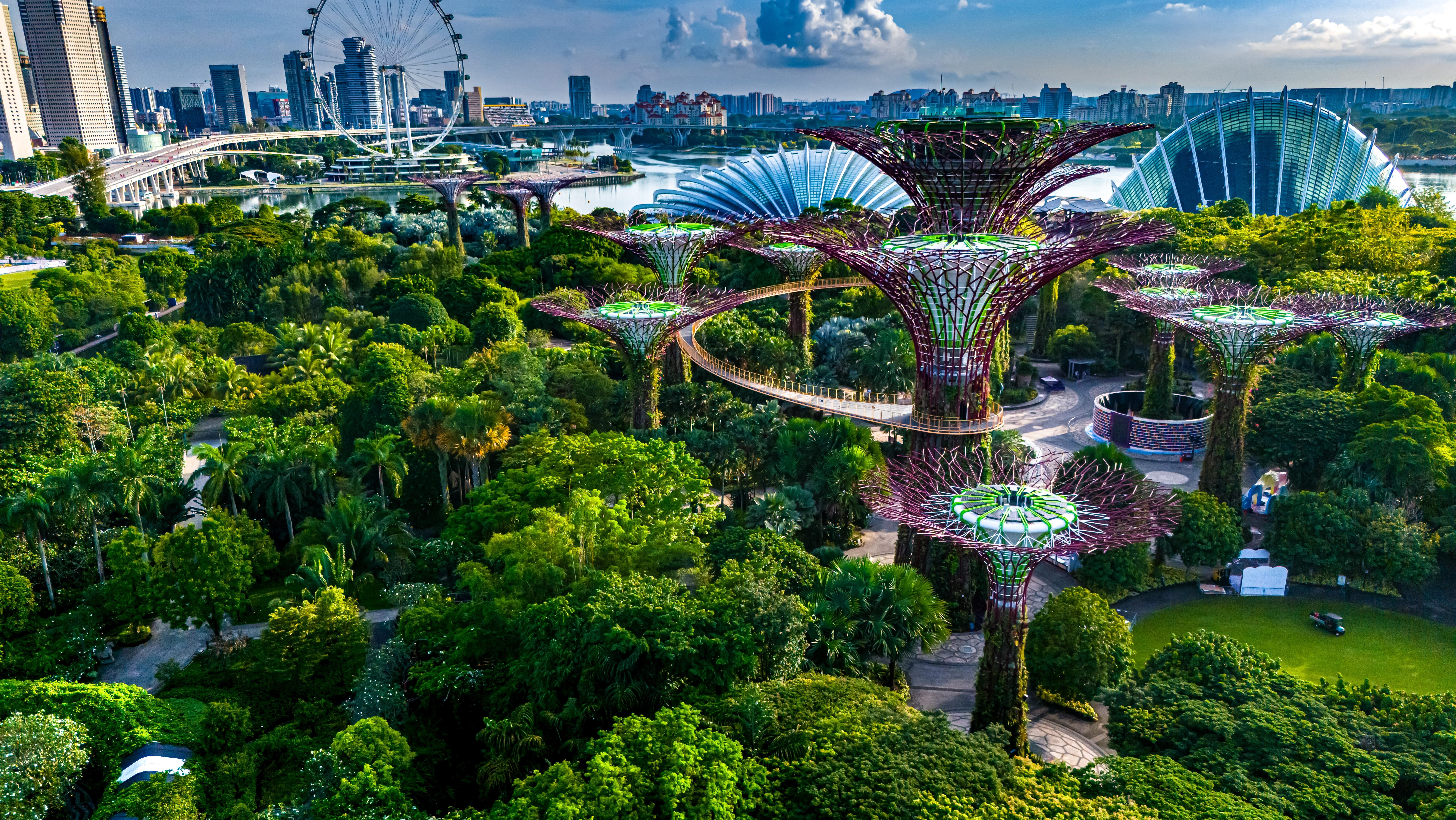Singapore. Photo: monticello / Shutterstock.com