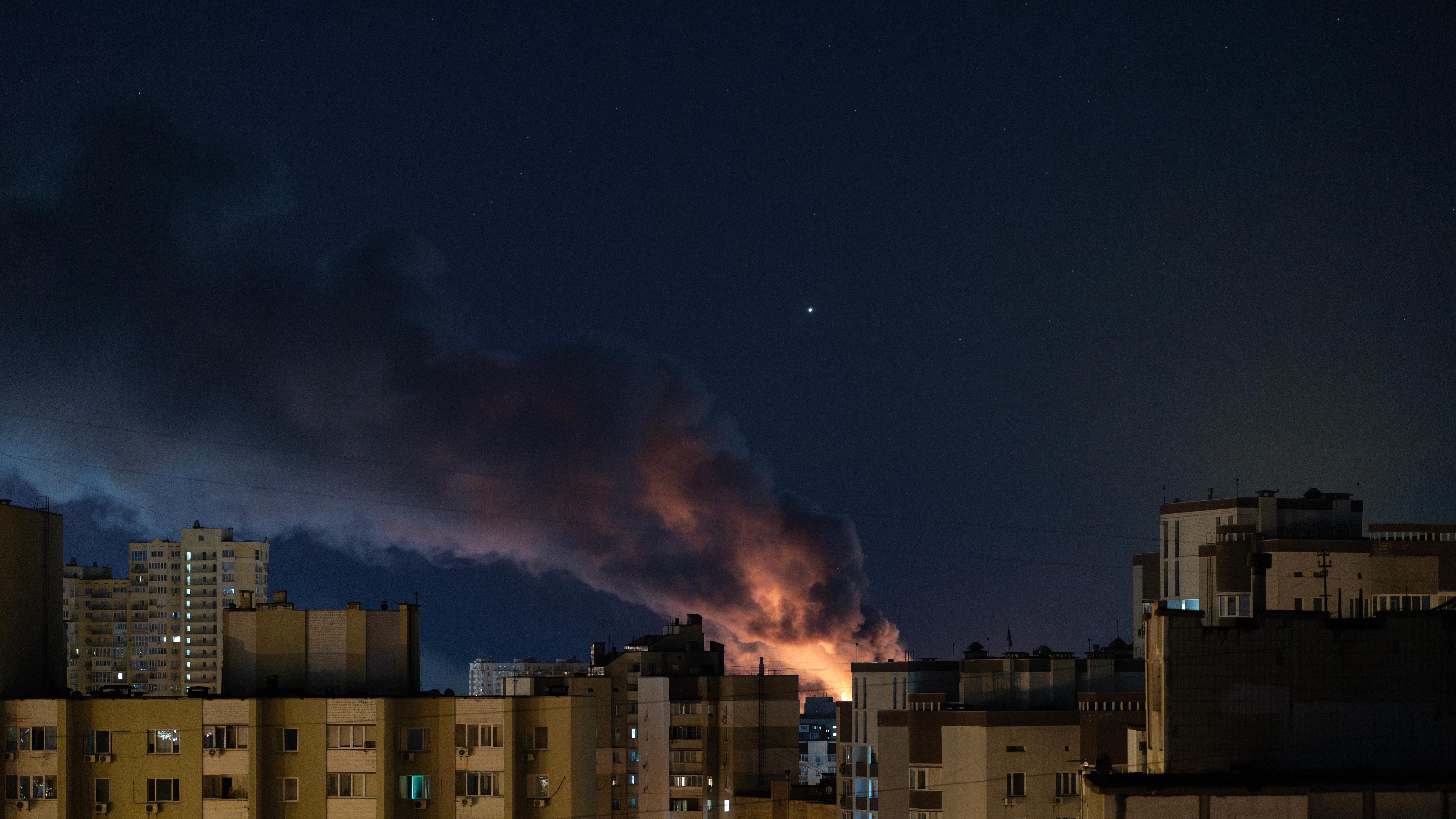 Photo: Sodel Vladyslav / Shutterstock.com
