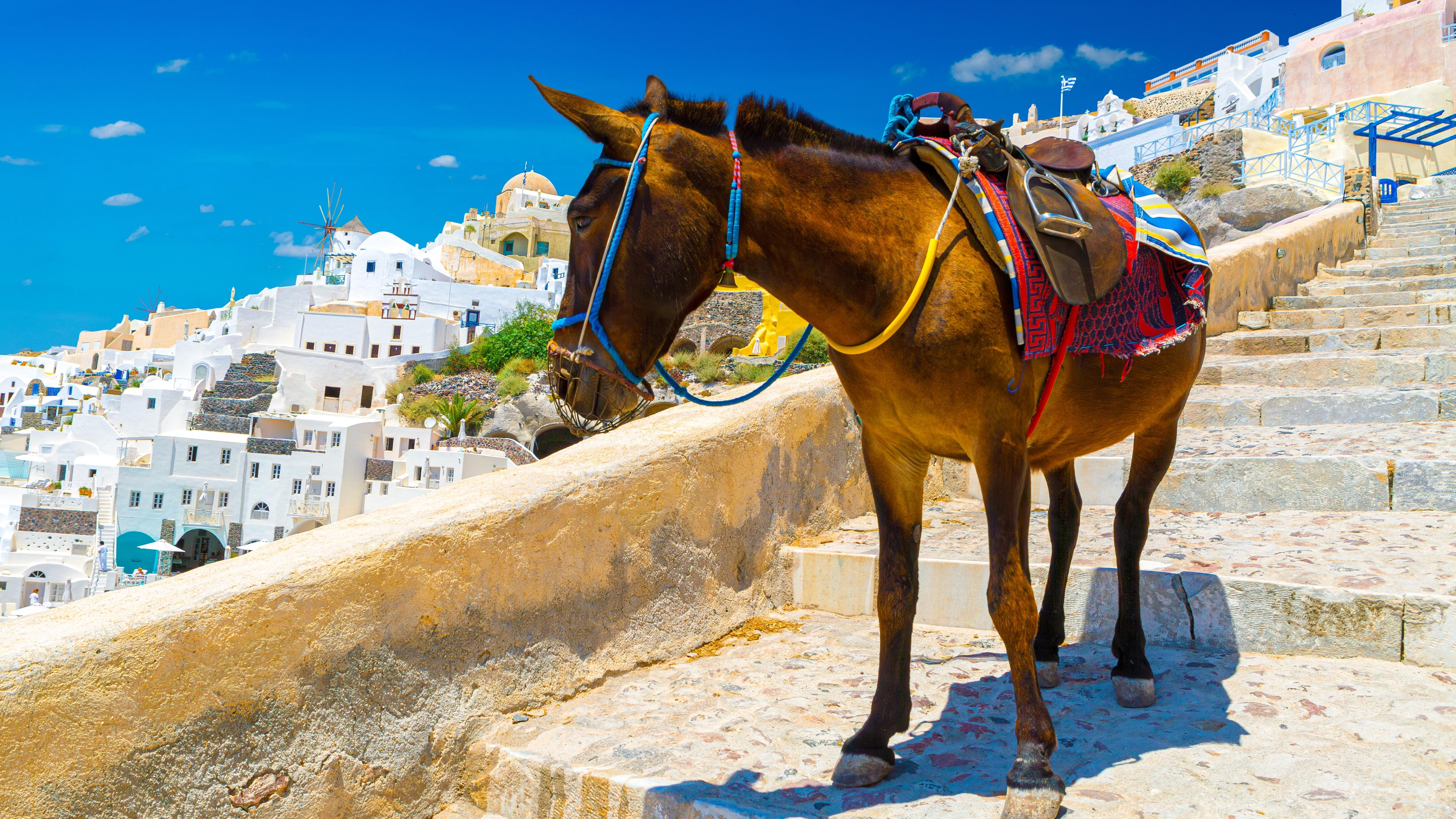 Santorini, Greece. Photo: Shutterstock