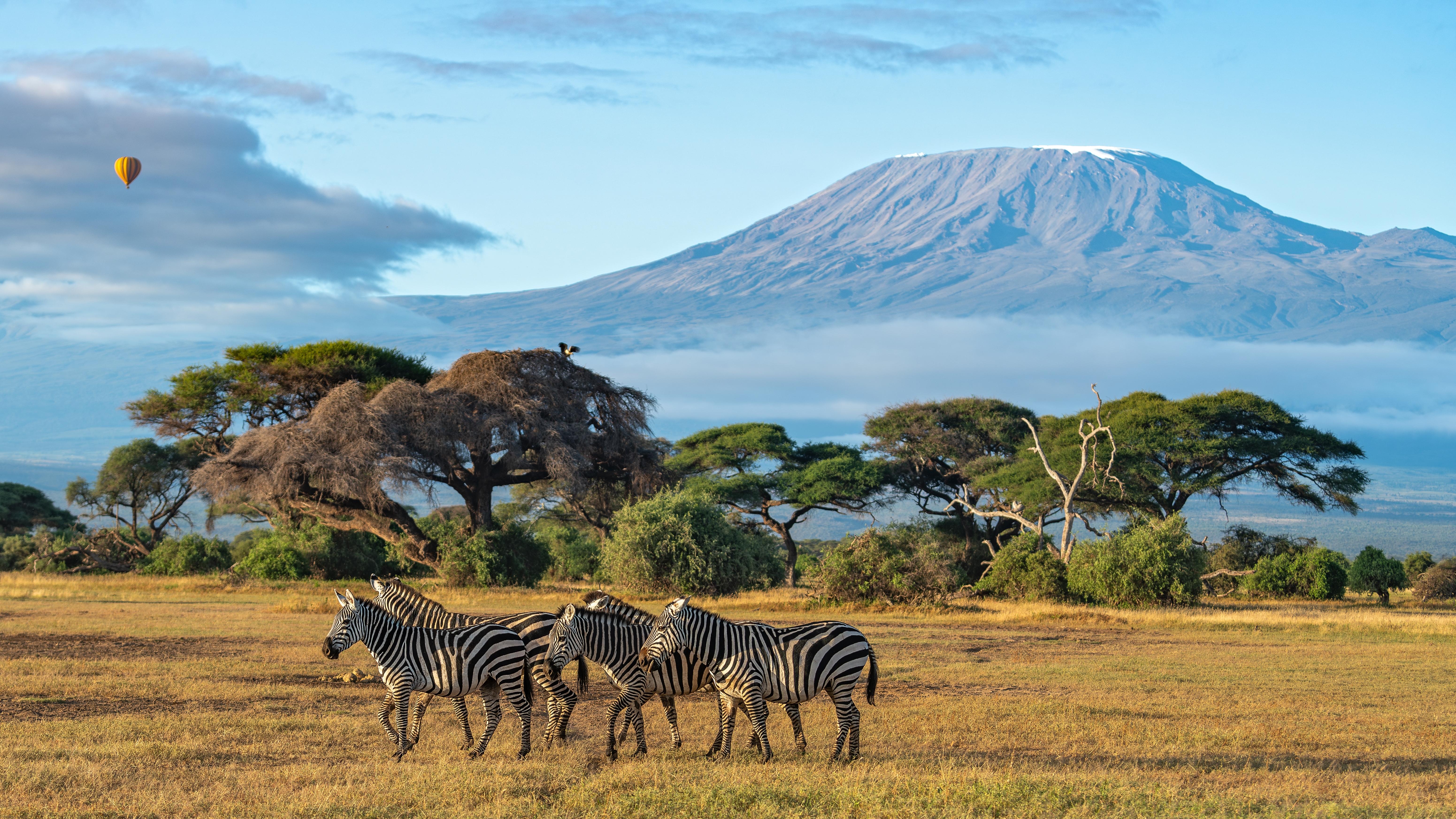 Kilimanjaro. Photo: Shutterstock
