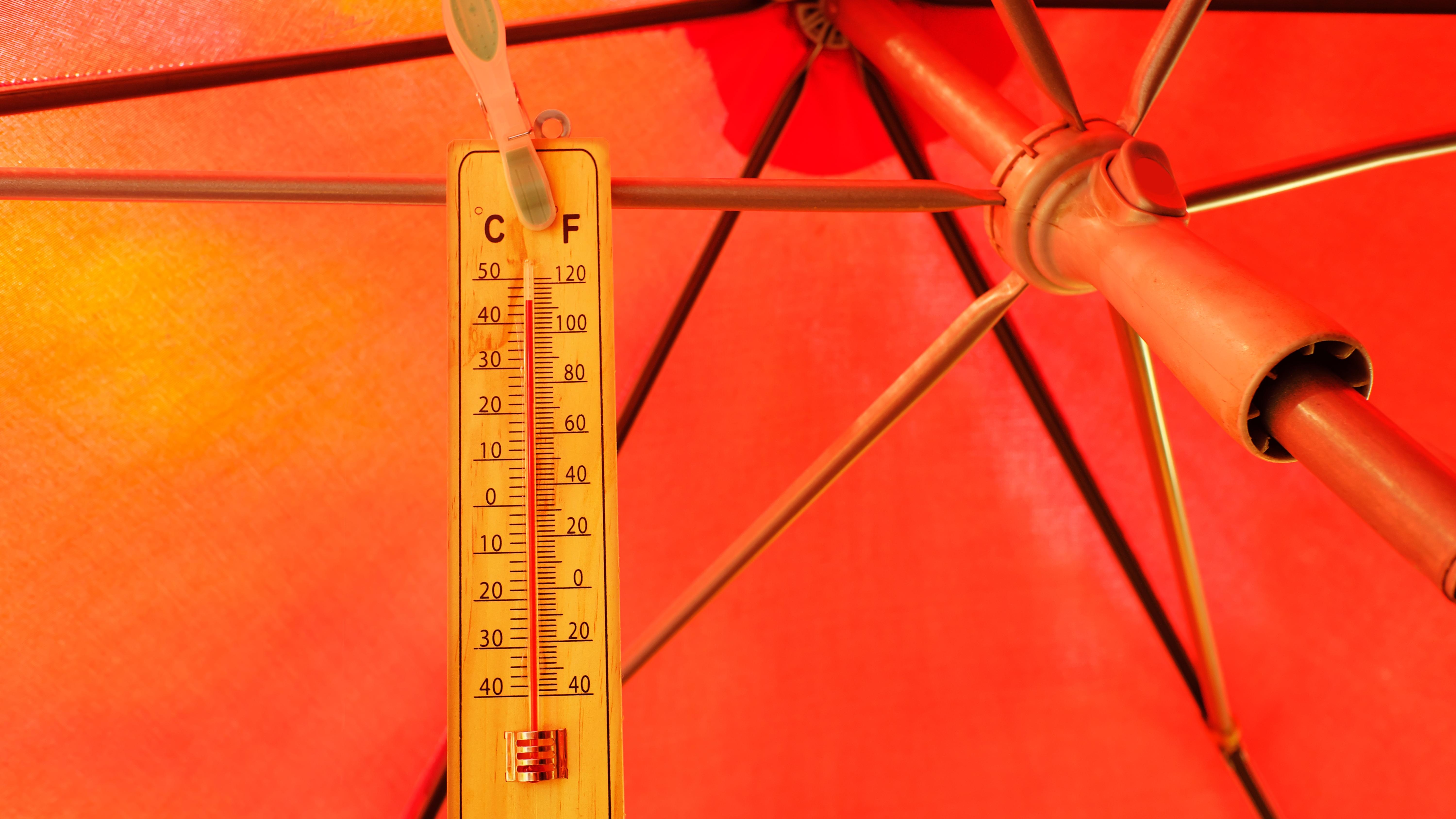 Photo: Shutterstock