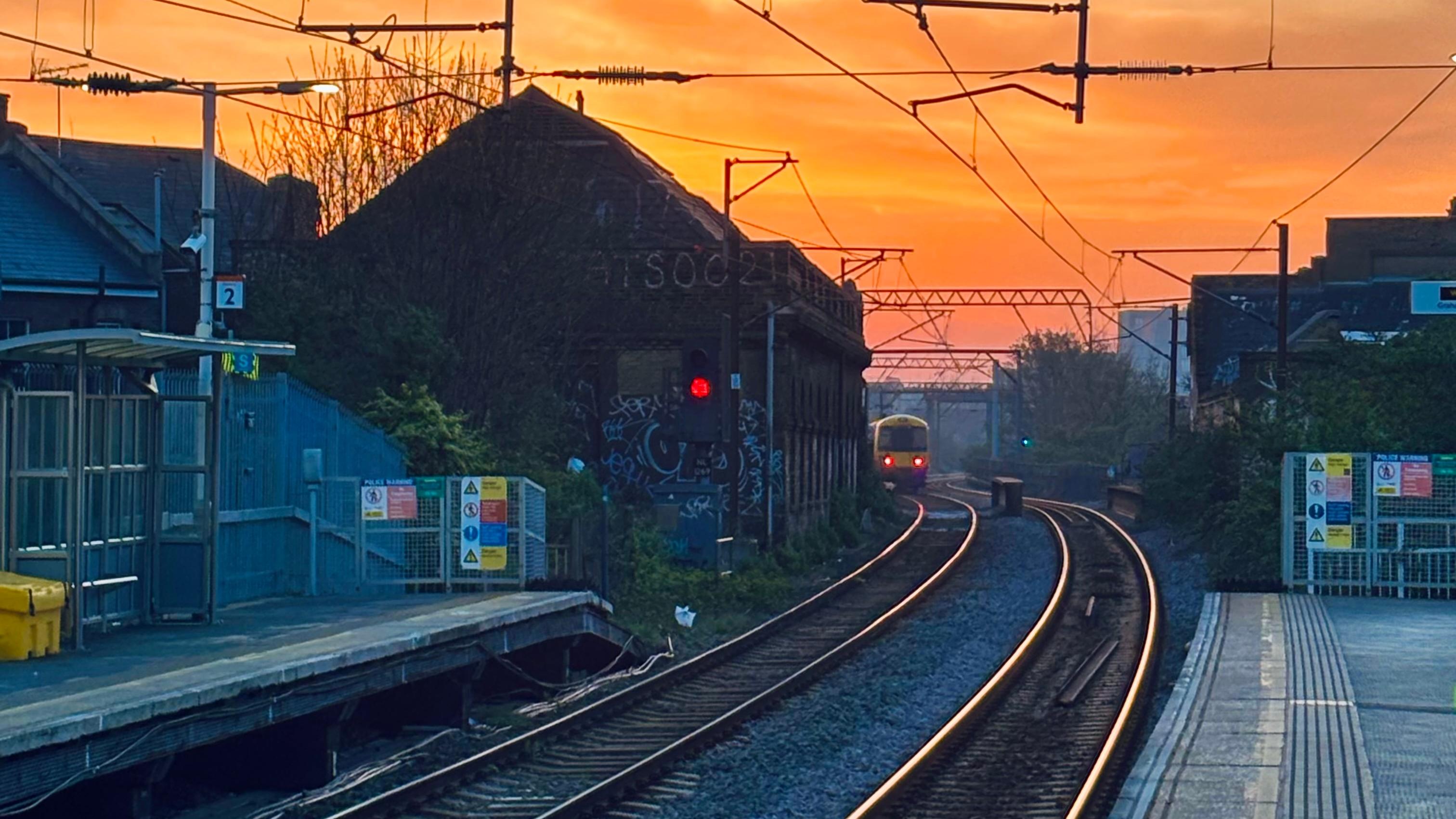 Hackney Dowbs. Photo: Alfonso Madiru91 / Shutterstock.com