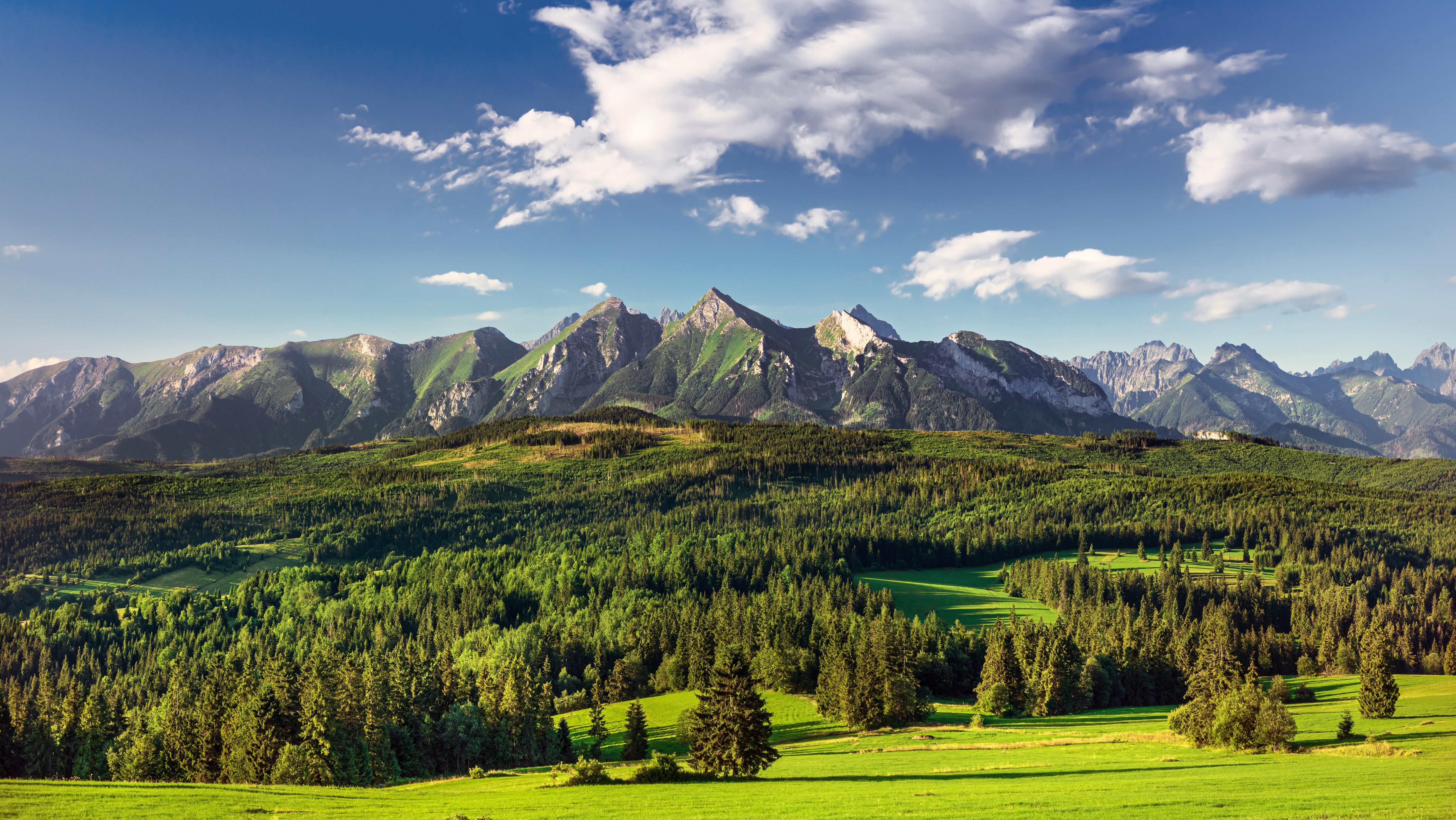 High Tatras mountains national park in Slovakia. Photo: Shutterstock