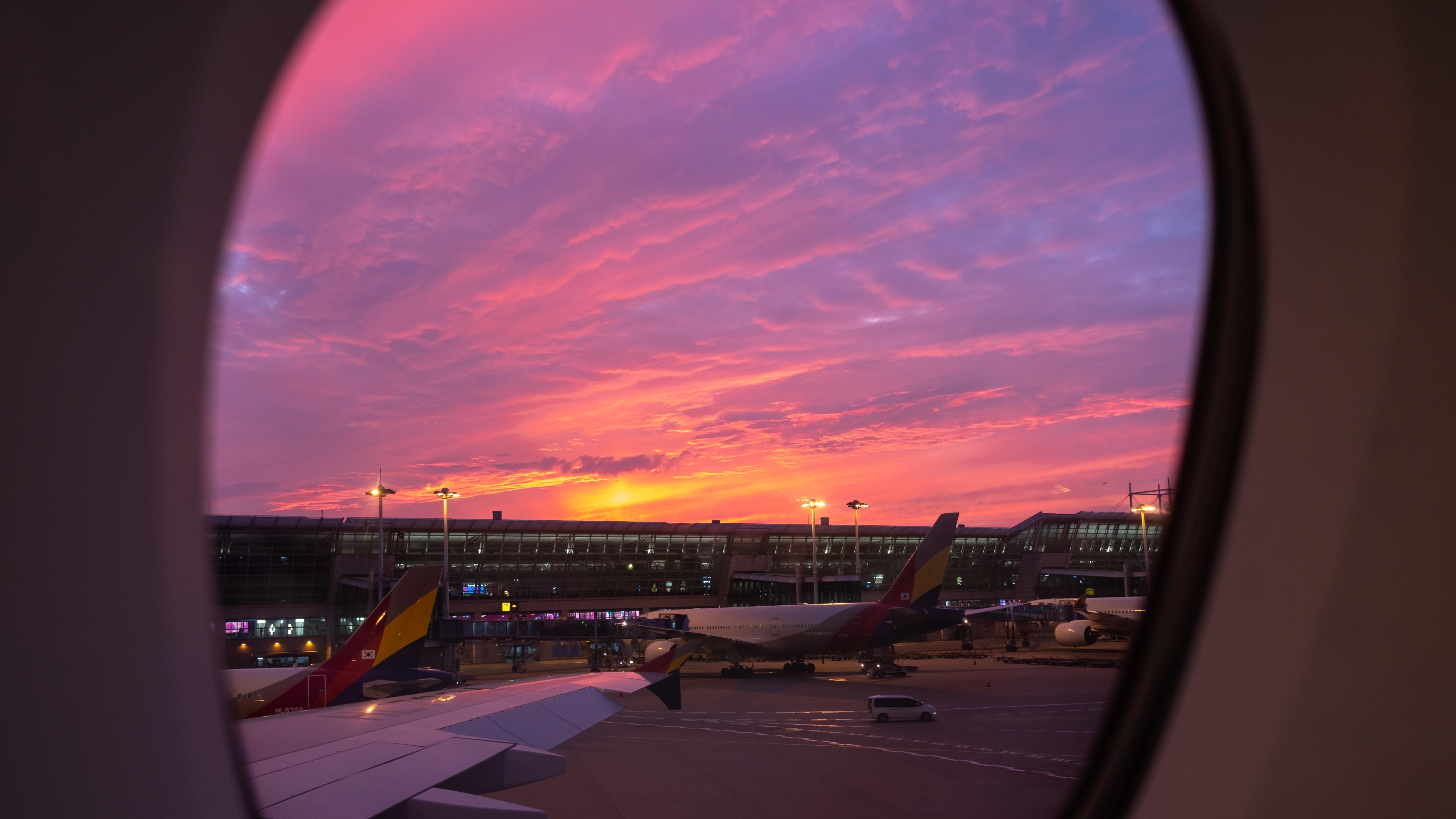 Asiana Airlines at Incheon International Airport. Photo: Moomusician / Shutterstock.com