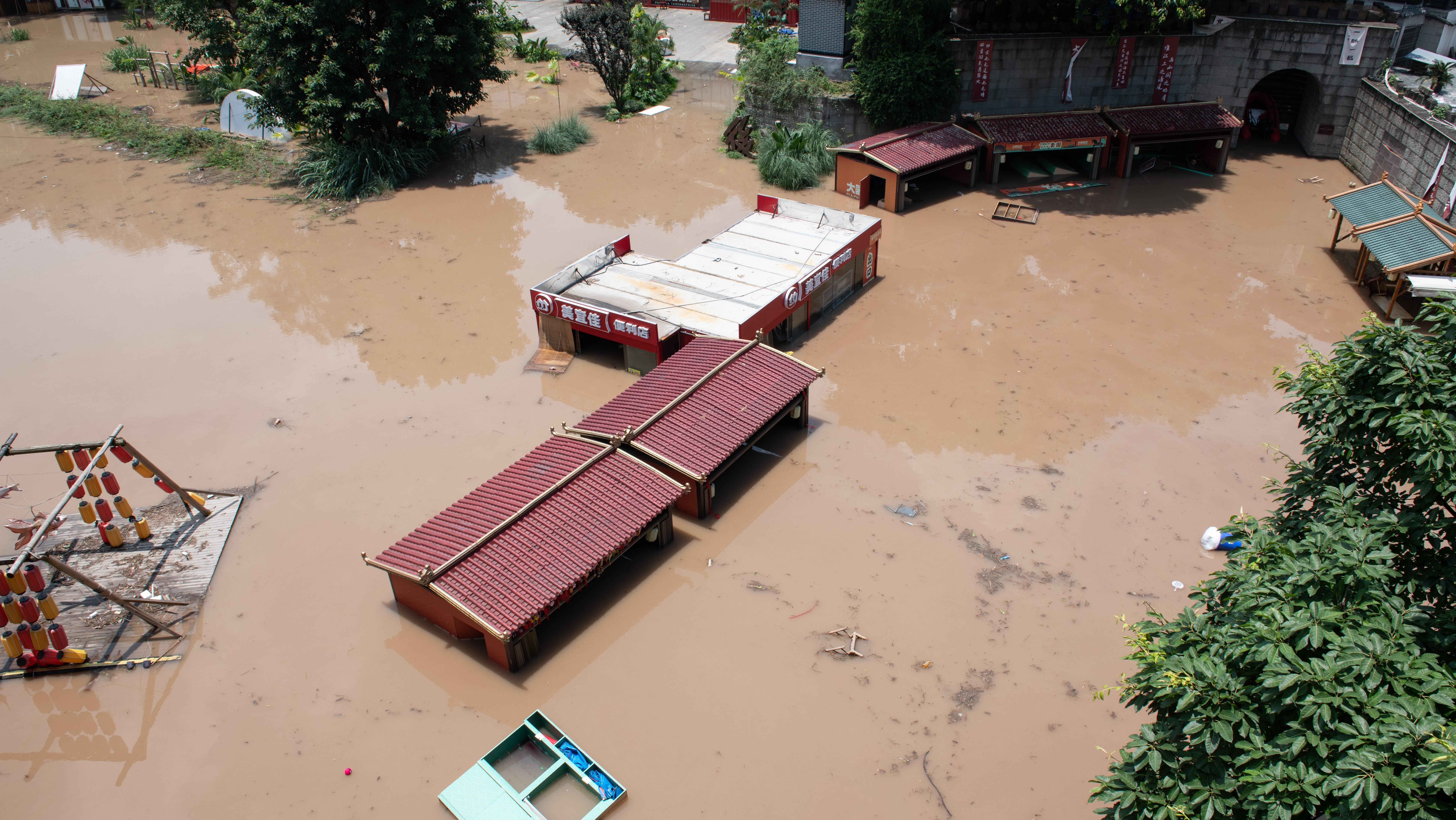 Deadly flooding in China kill at least 11, release hundreds of snakes, pigs, and ostriches in floodwaters. Photo: dyl0807 / Shutterstock.com
