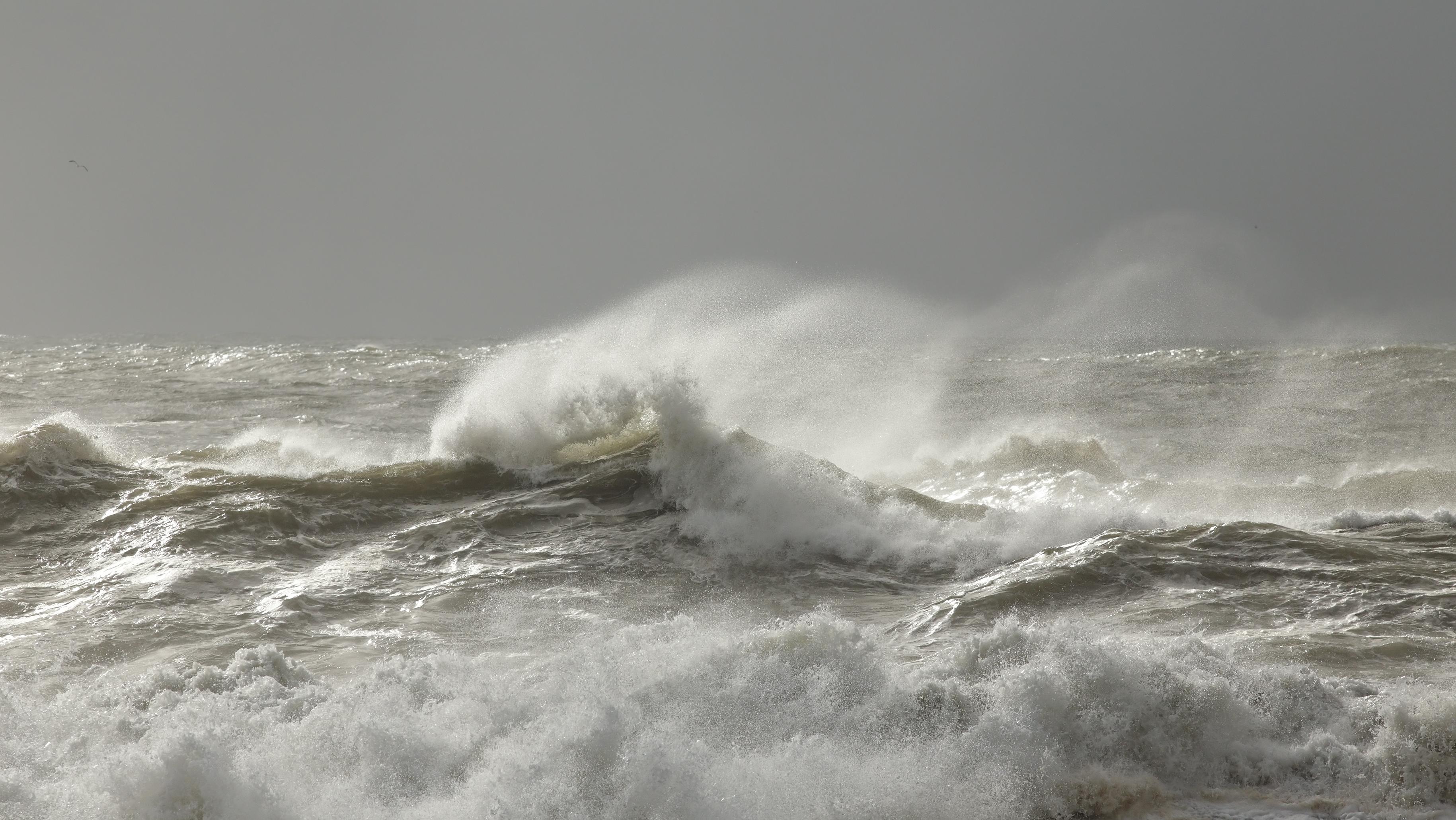 Powerful typhoon Bavi nears Taiwan with 184 km/h winds. Photo: Shutterstock