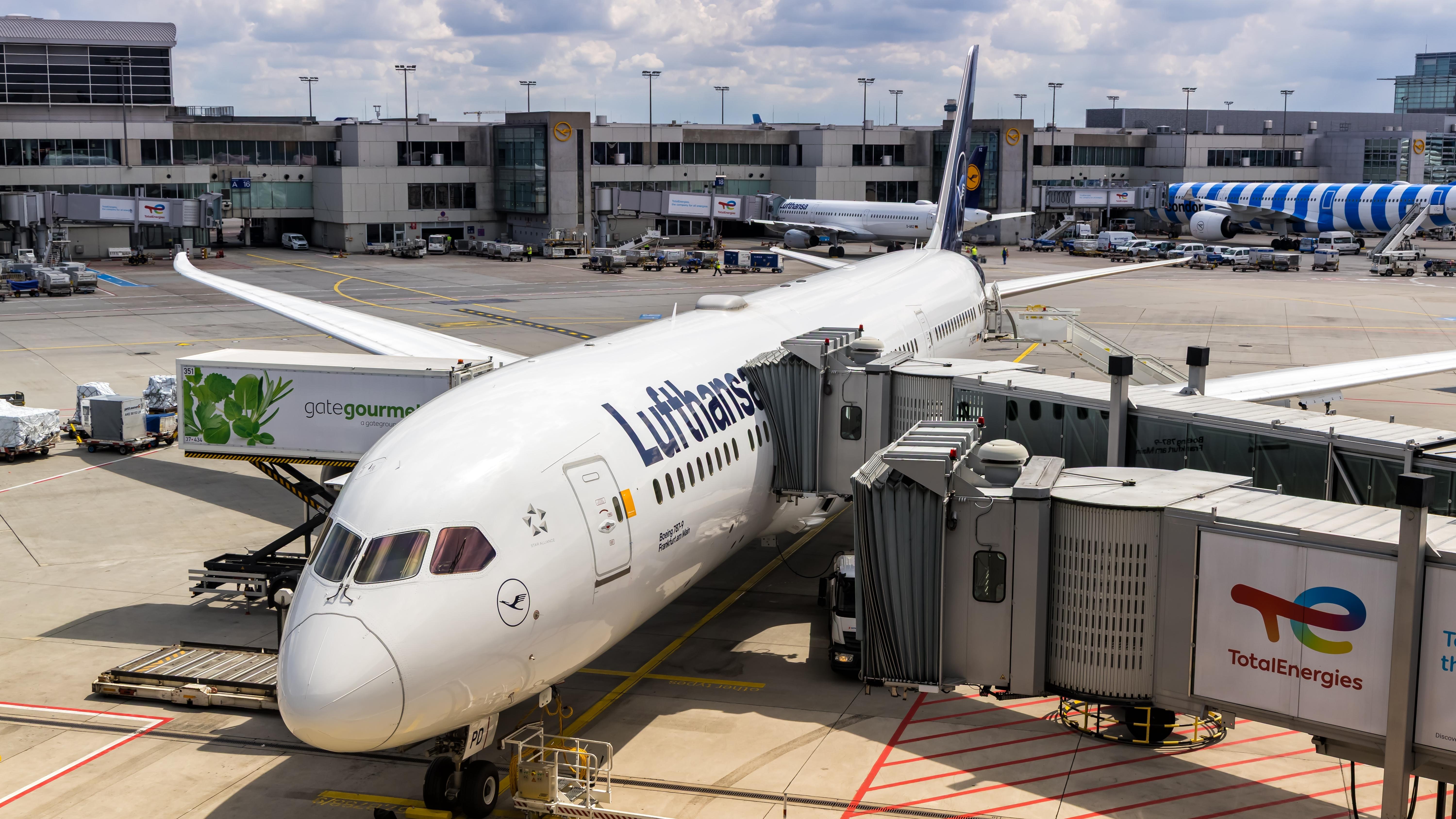 German probe reveals cause of Boeing 787 nose collapse at Frankfurt. Photo: Markus Mainka / Shutterstock.com