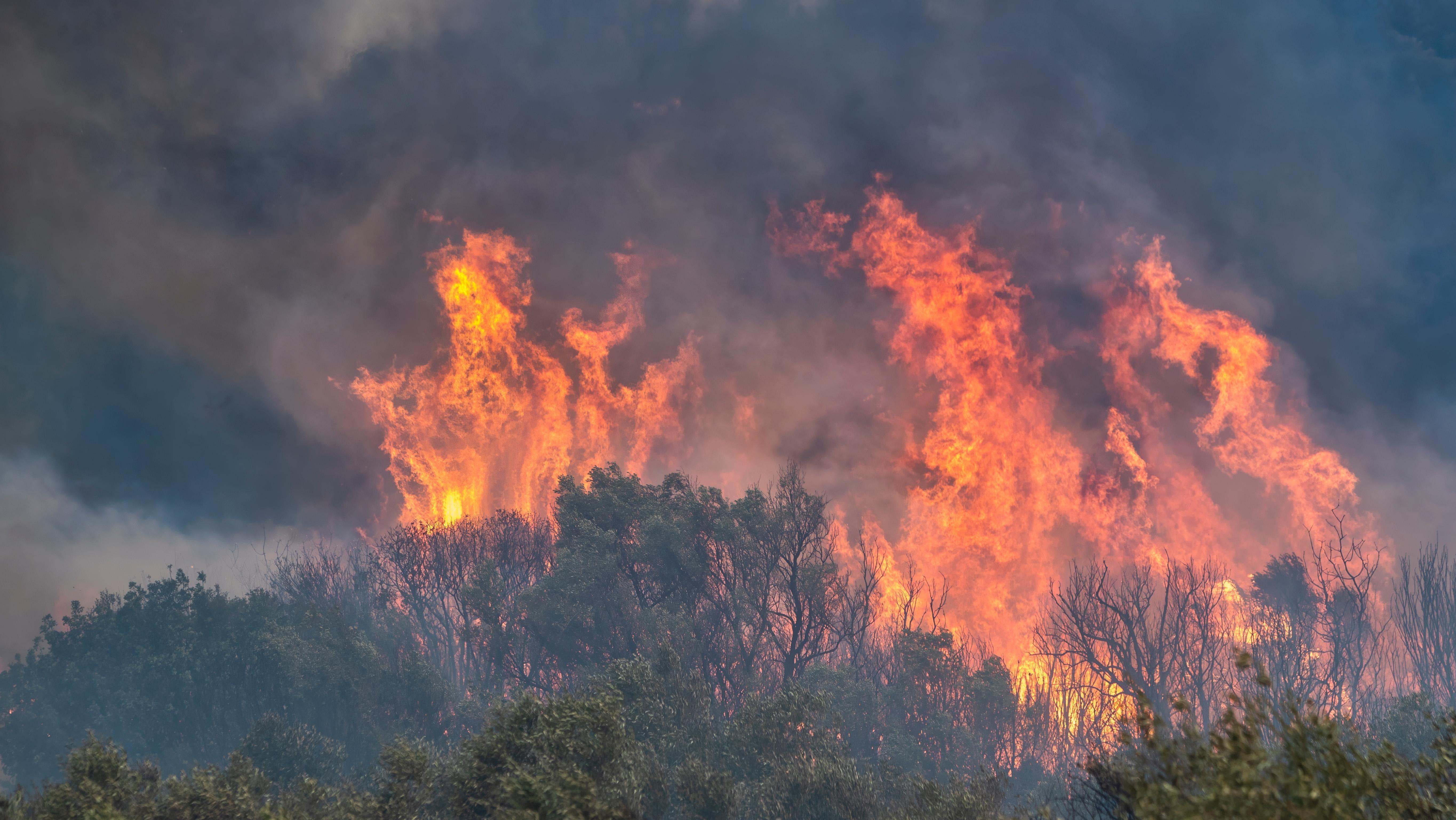 Devastating wildfire in Spain kills 11. Photo: Shutterstock