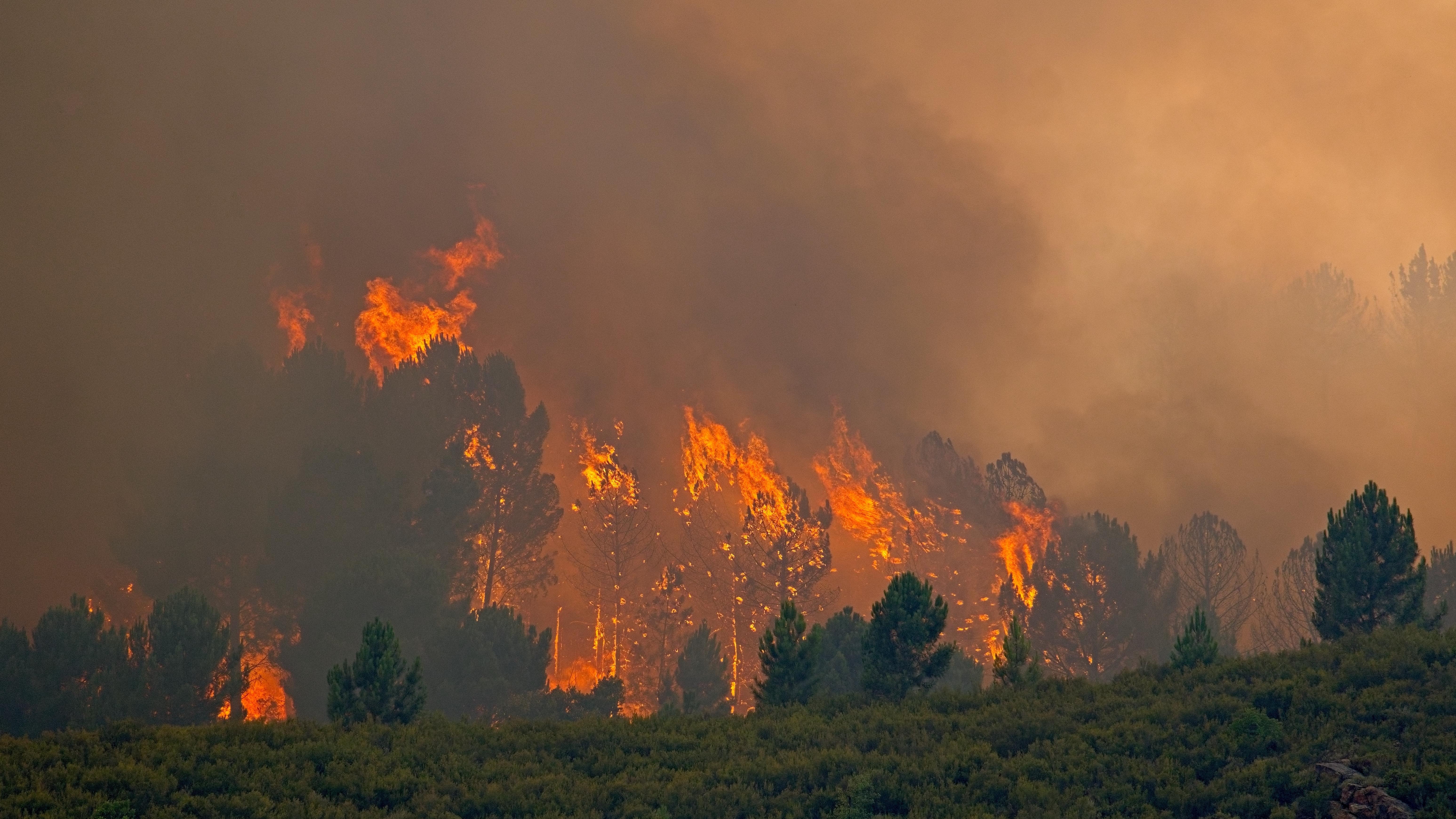 Spain's deadliest wildfires has been stabilized. Photo: Shutterstock