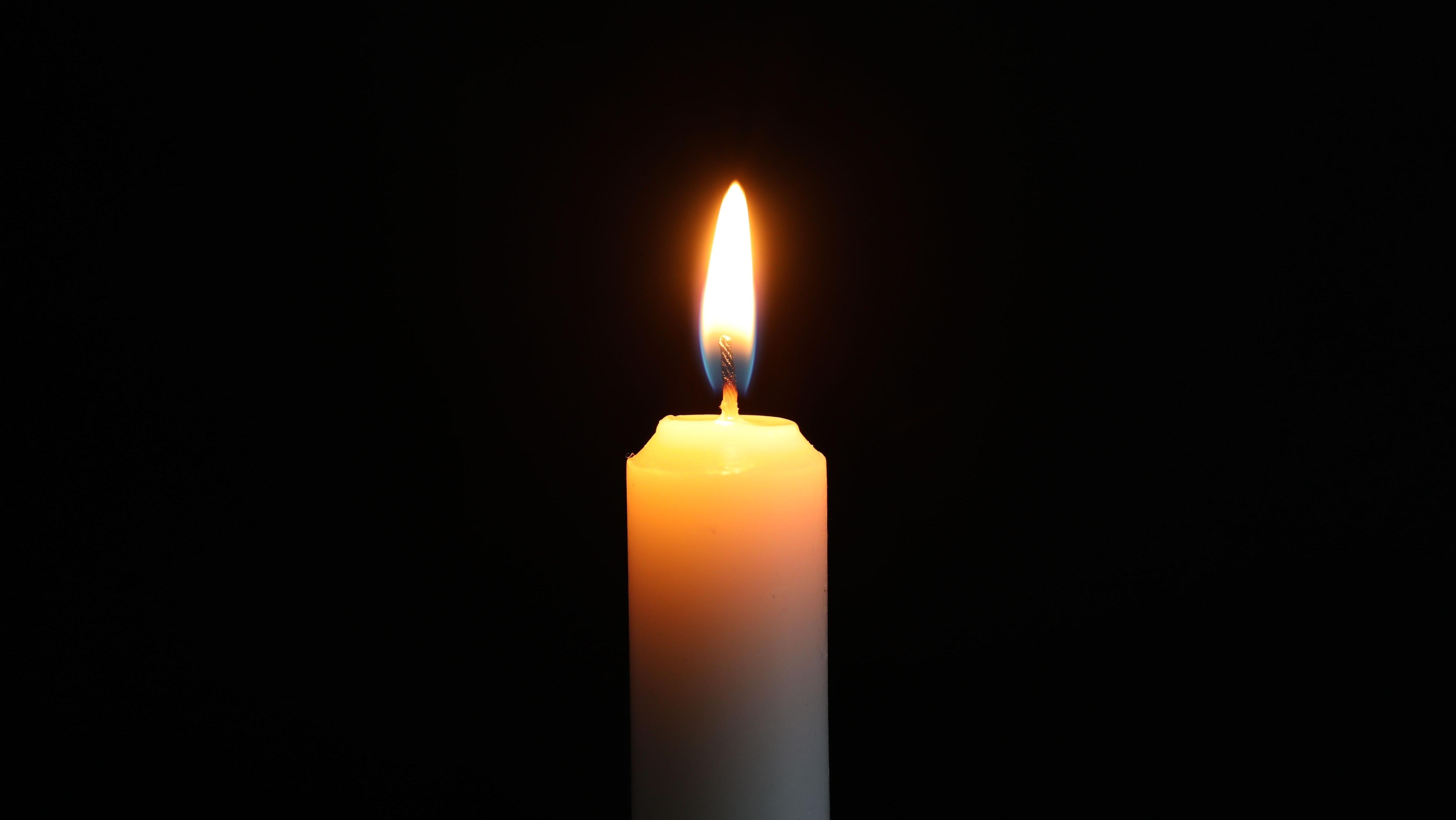 Photo: Shutterstock