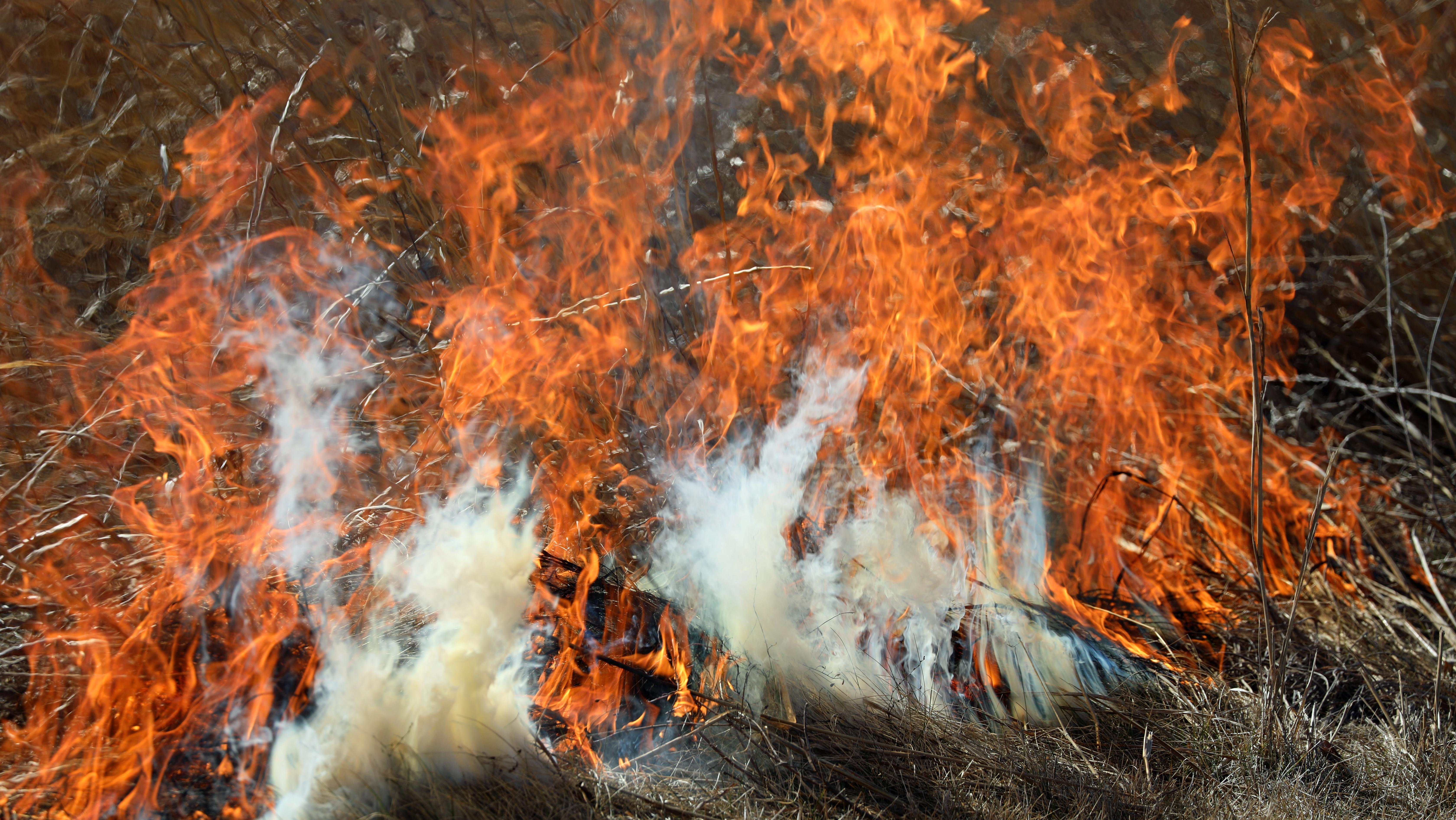 Wildfire kills 2 firefighters in France. Photo: Shutetrstock