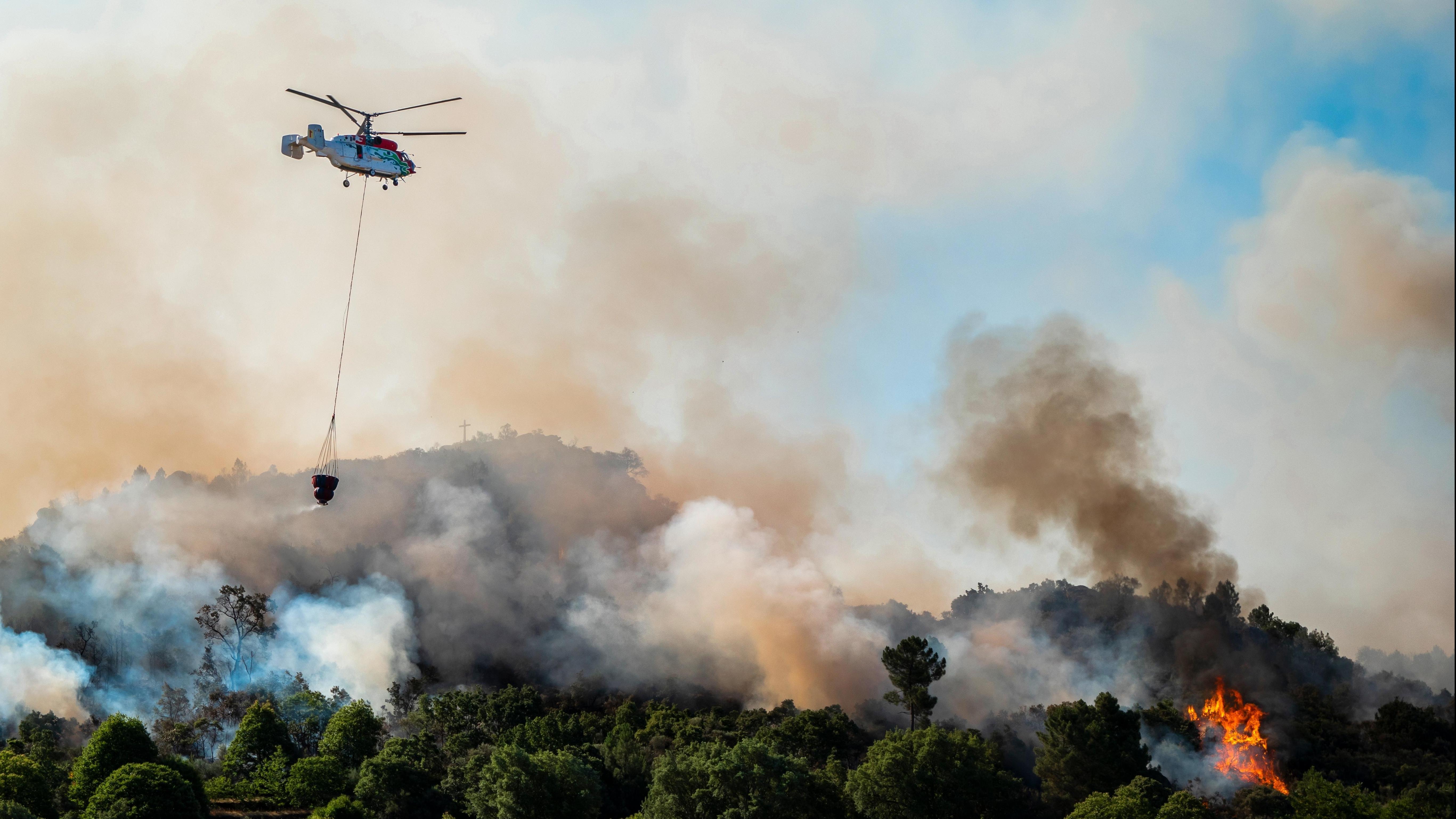 Wildfire in Ontario. Photo: Shutterstock