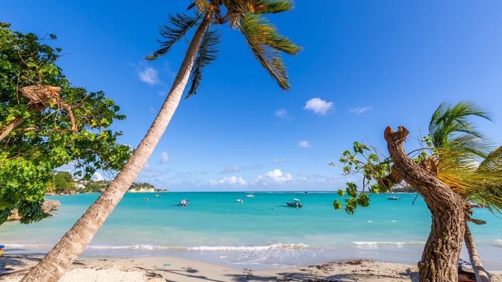 La Datcha Beach in Pointe-a-Pitre. Photo: Shutterstock