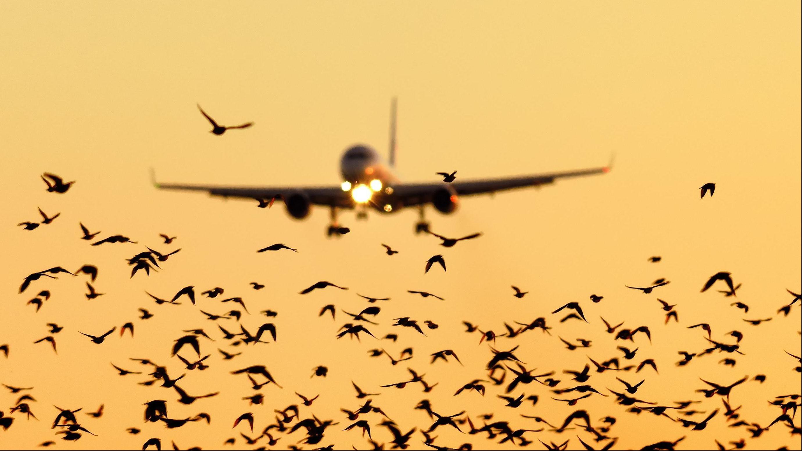 Photo: Shutterstock