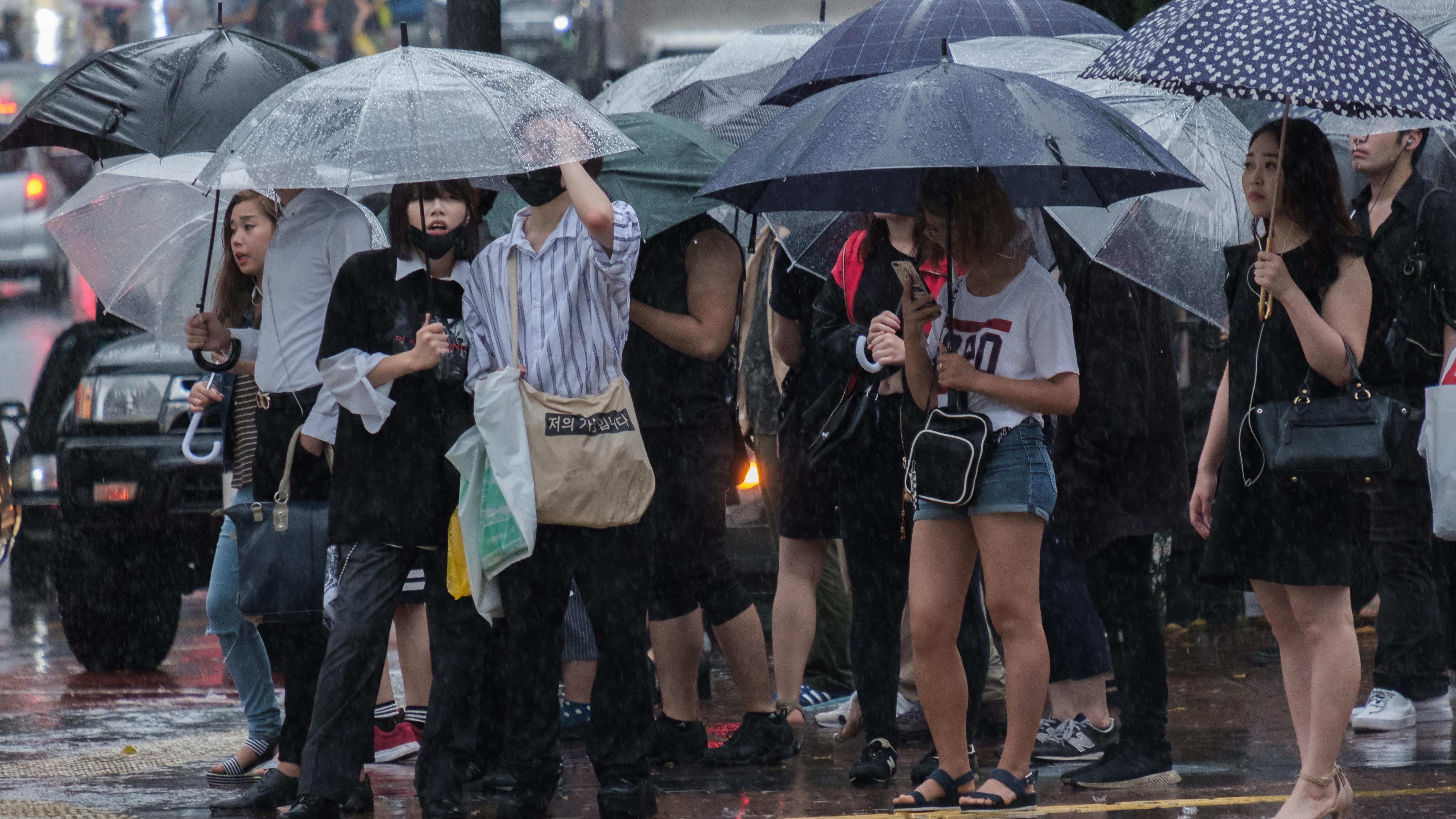 Photo: MAHATHIR MOHD YASIN / Shutterstock.com