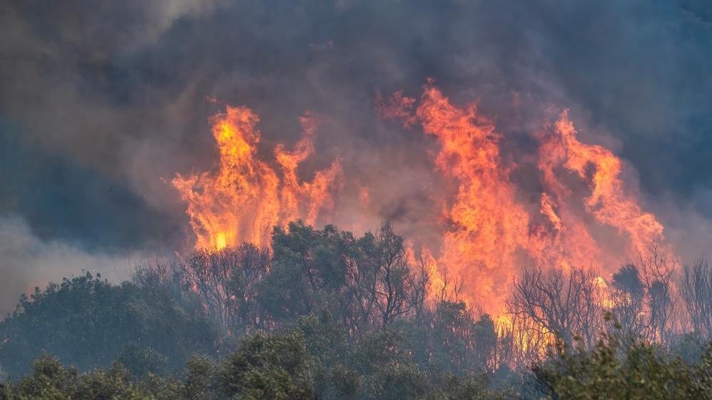 Fire in Greece. Photo: Shutterstock