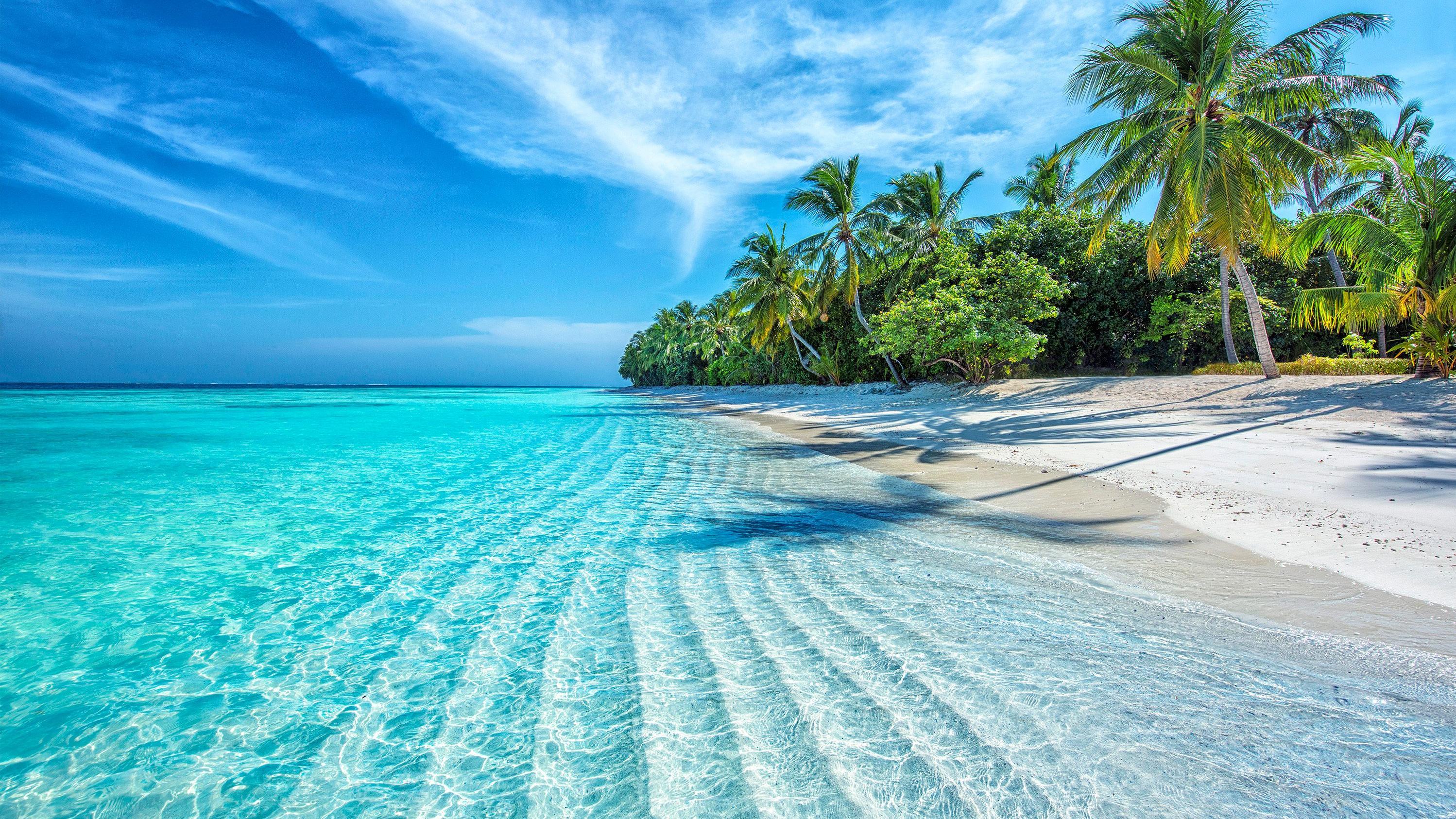 Maldives. Photo: Shutterstock