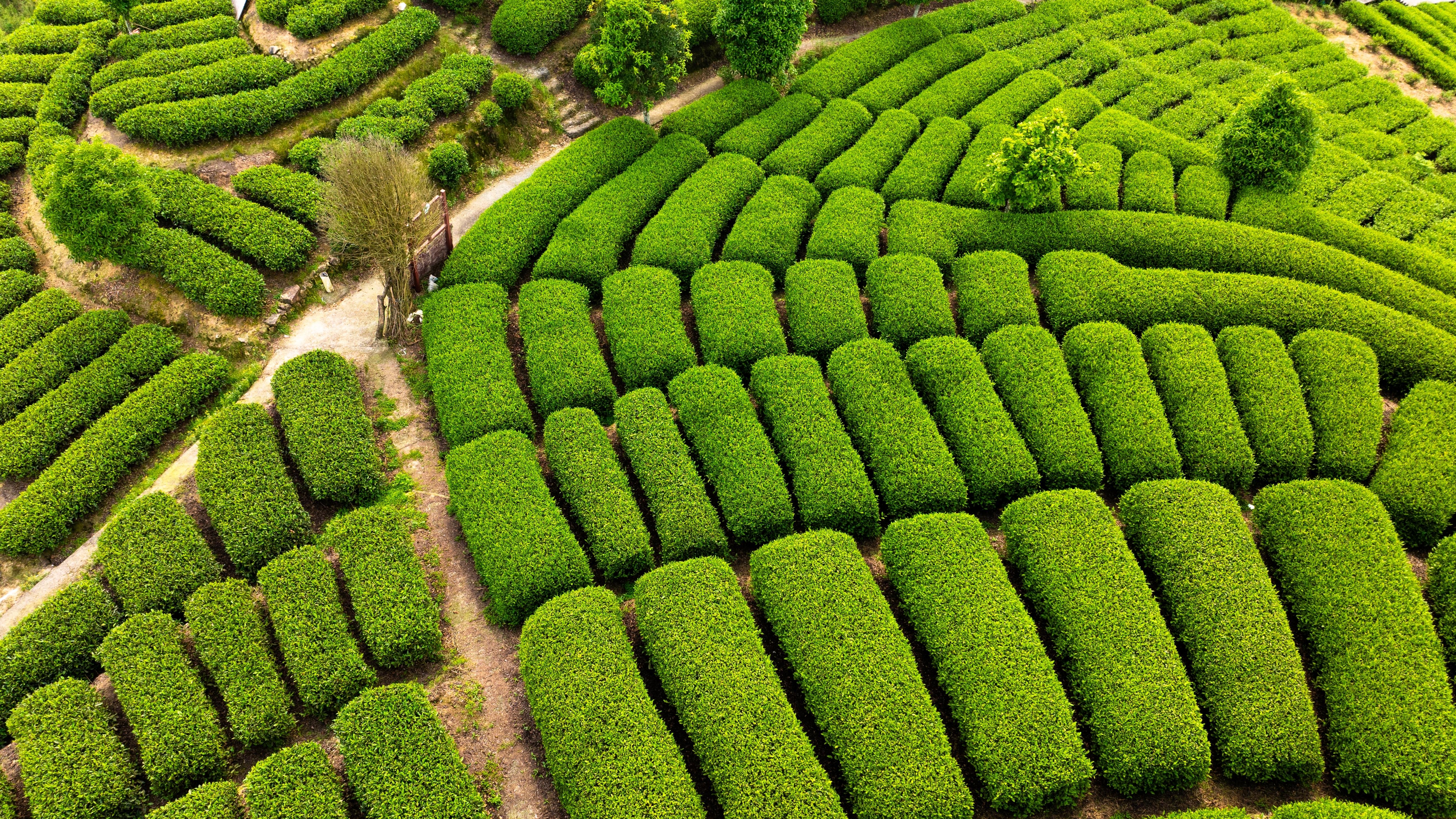 Xiamen, China. Photo: Shutterstock