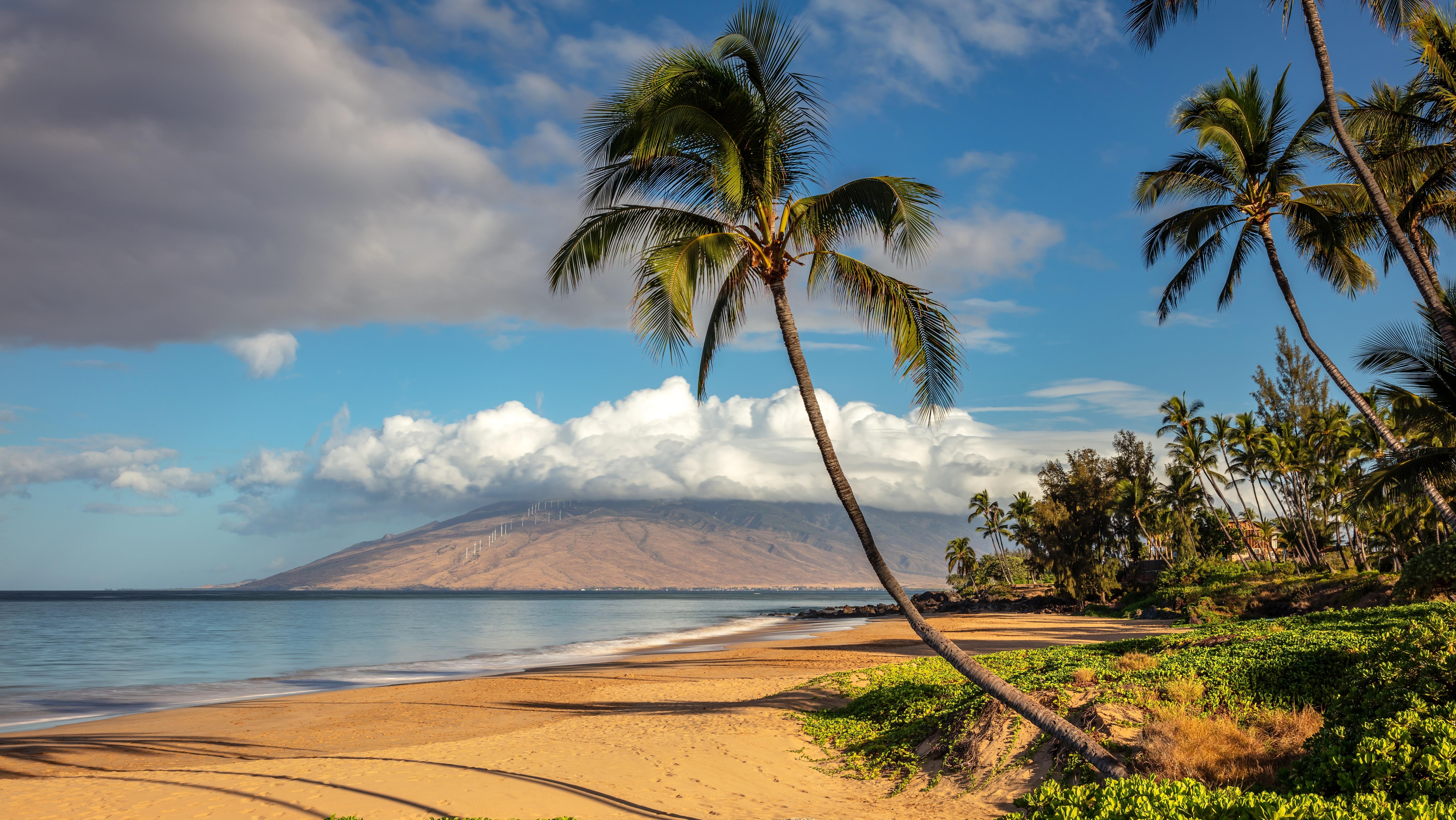 Maui, Hawaii. Photo: Shutterstock