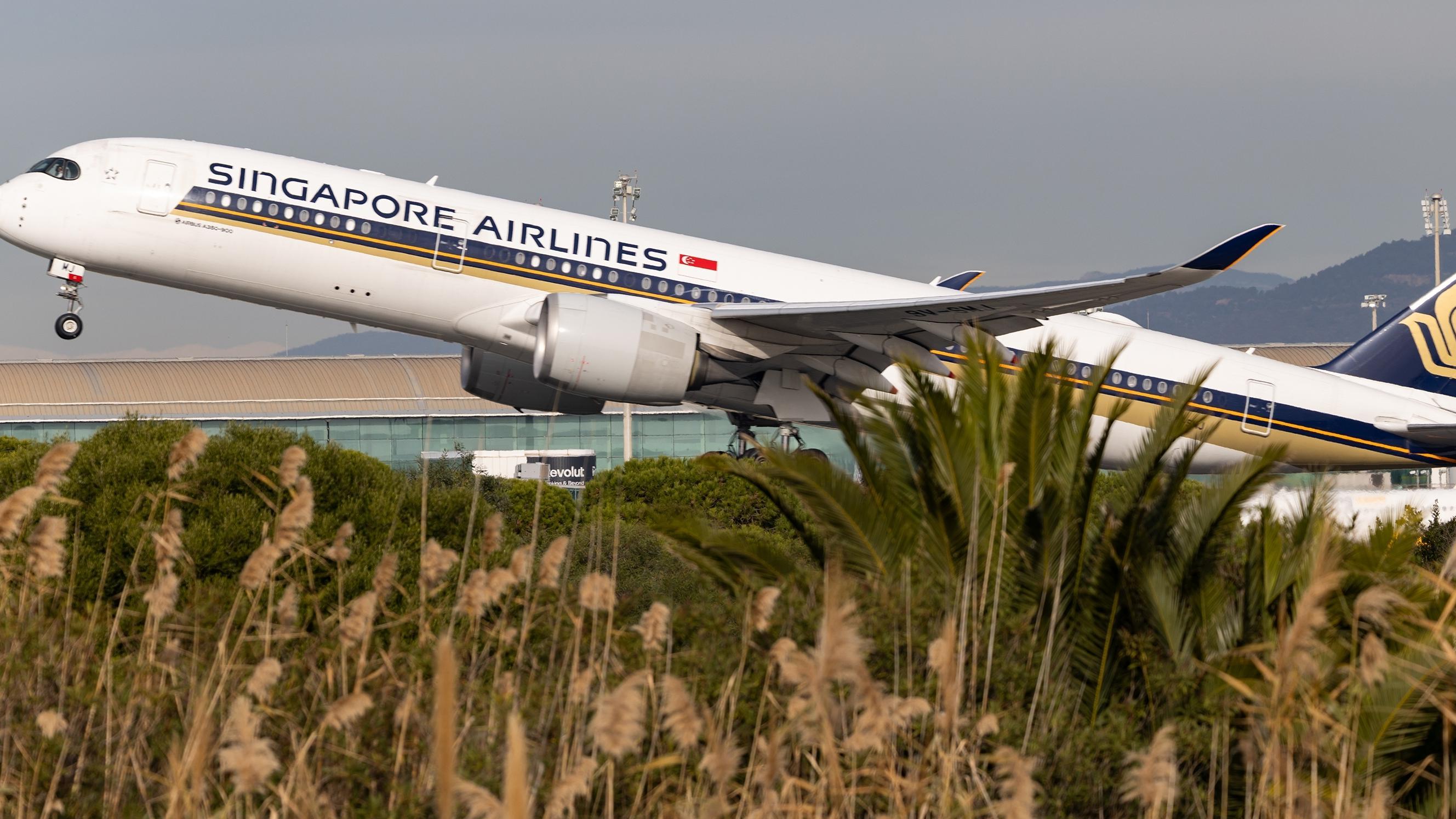 Singapore Airlines. Photo: BearFotos / Shutterstock.com